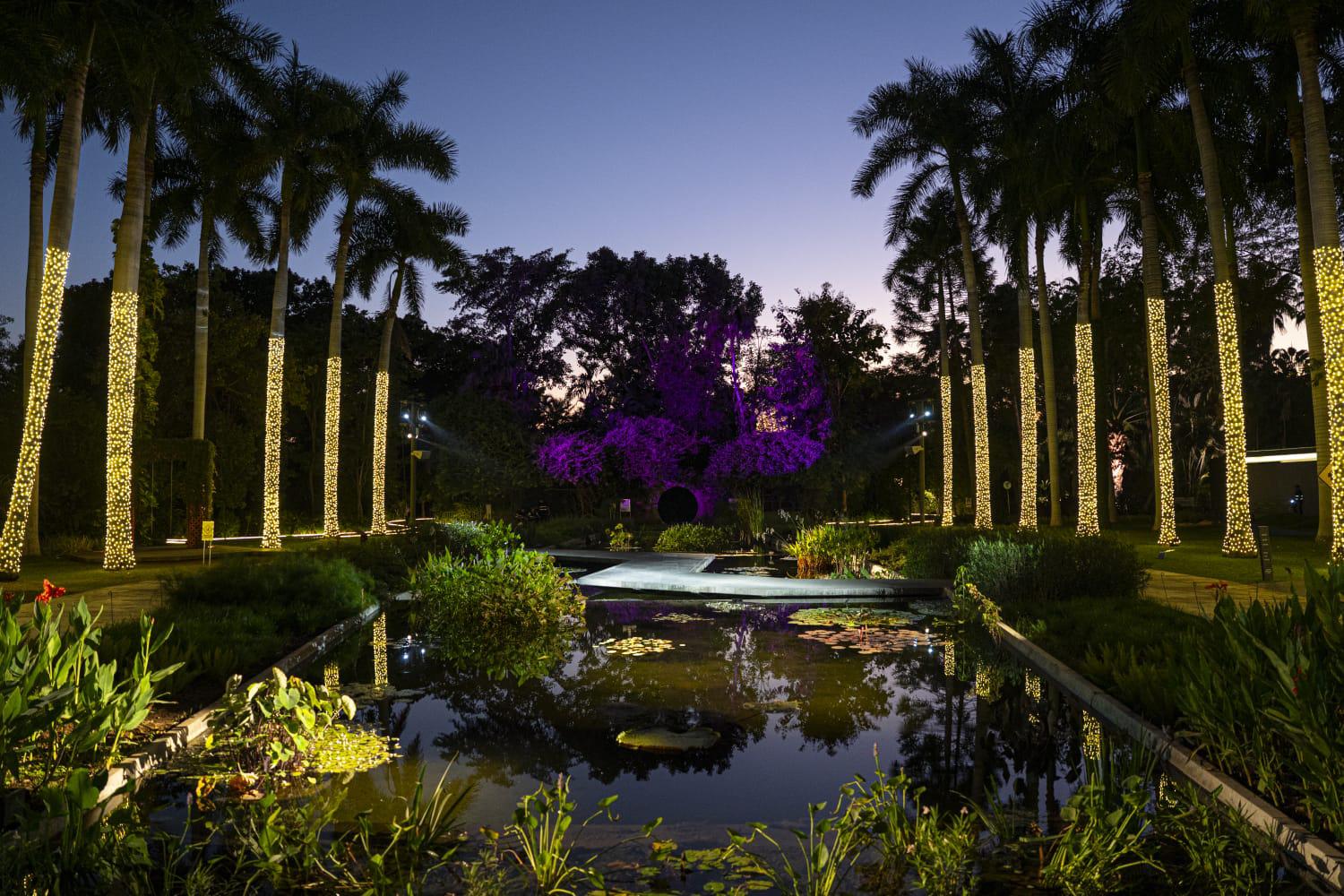 $!Navidad en el Botánico: Una experiencia interactiva de luz, música y tecnología en Culiacán