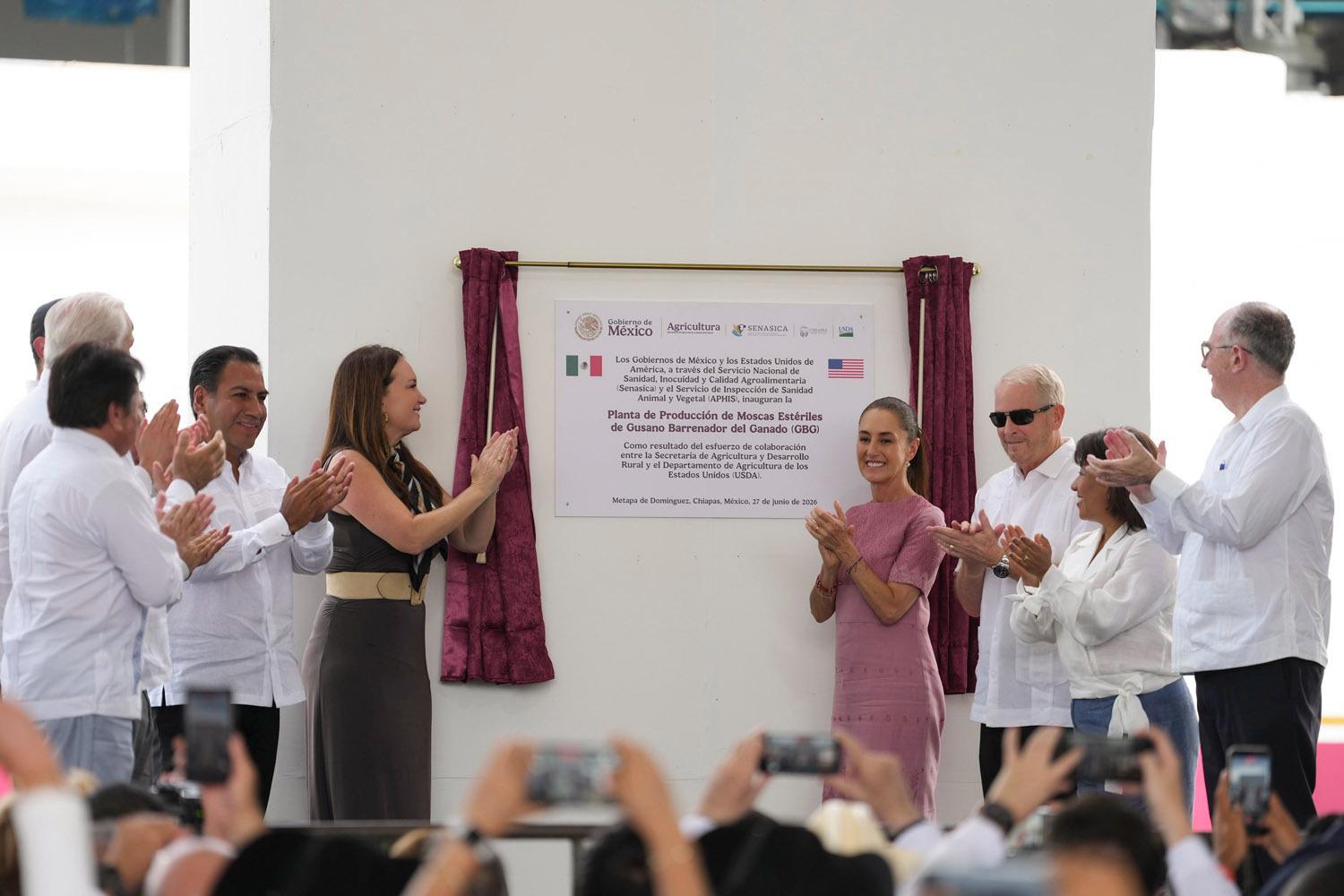 $!México y EU abren biofábrica de moscas estériles en Chiapas para combatir al gusano barrenador