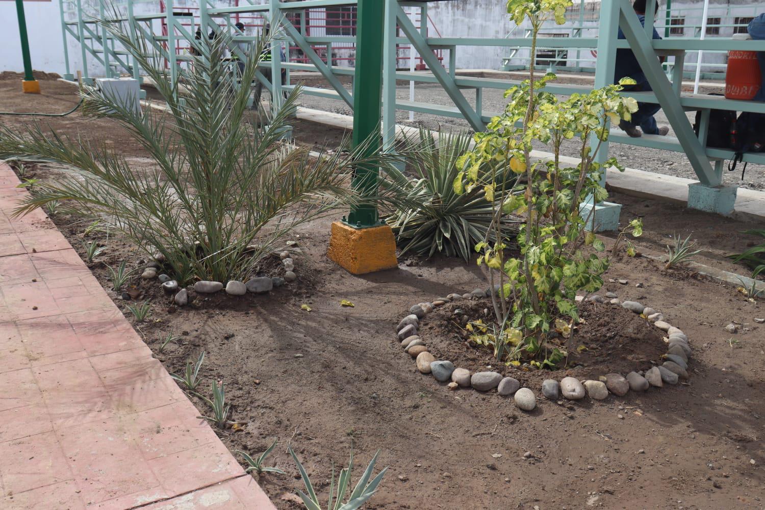 $!¡Llega la arena a canchas de voleibol de la Sahop!