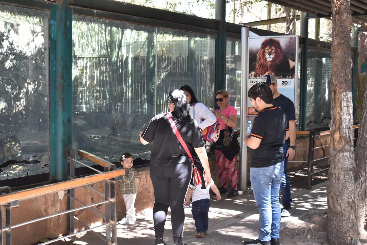 $!Ofrece Zoológico de Culiacán un ambiente familiar y ‘a todo dar’