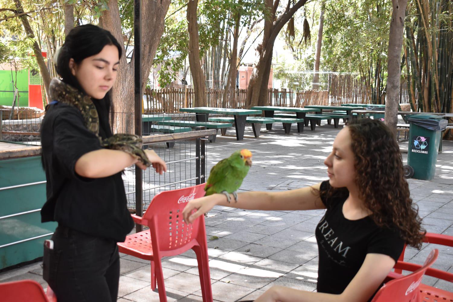$!Ofrece Zoológico de Culiacán un ambiente familiar y ‘a todo dar’