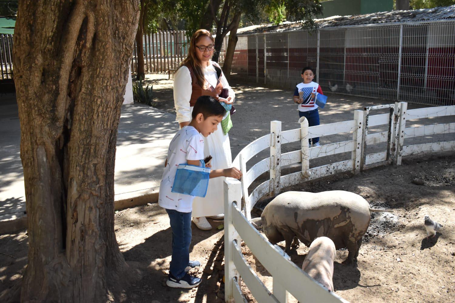 $!Ofrece Zoológico de Culiacán un ambiente familiar y ‘a todo dar’