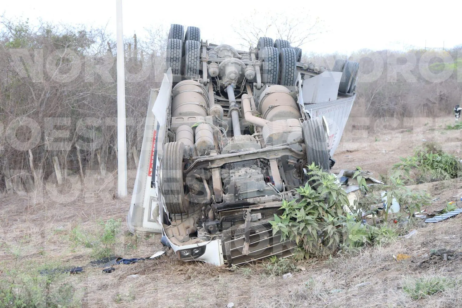 $!Tráiler cargado de mercancía se vuelca en la autopista Culiacán-Mazatlán