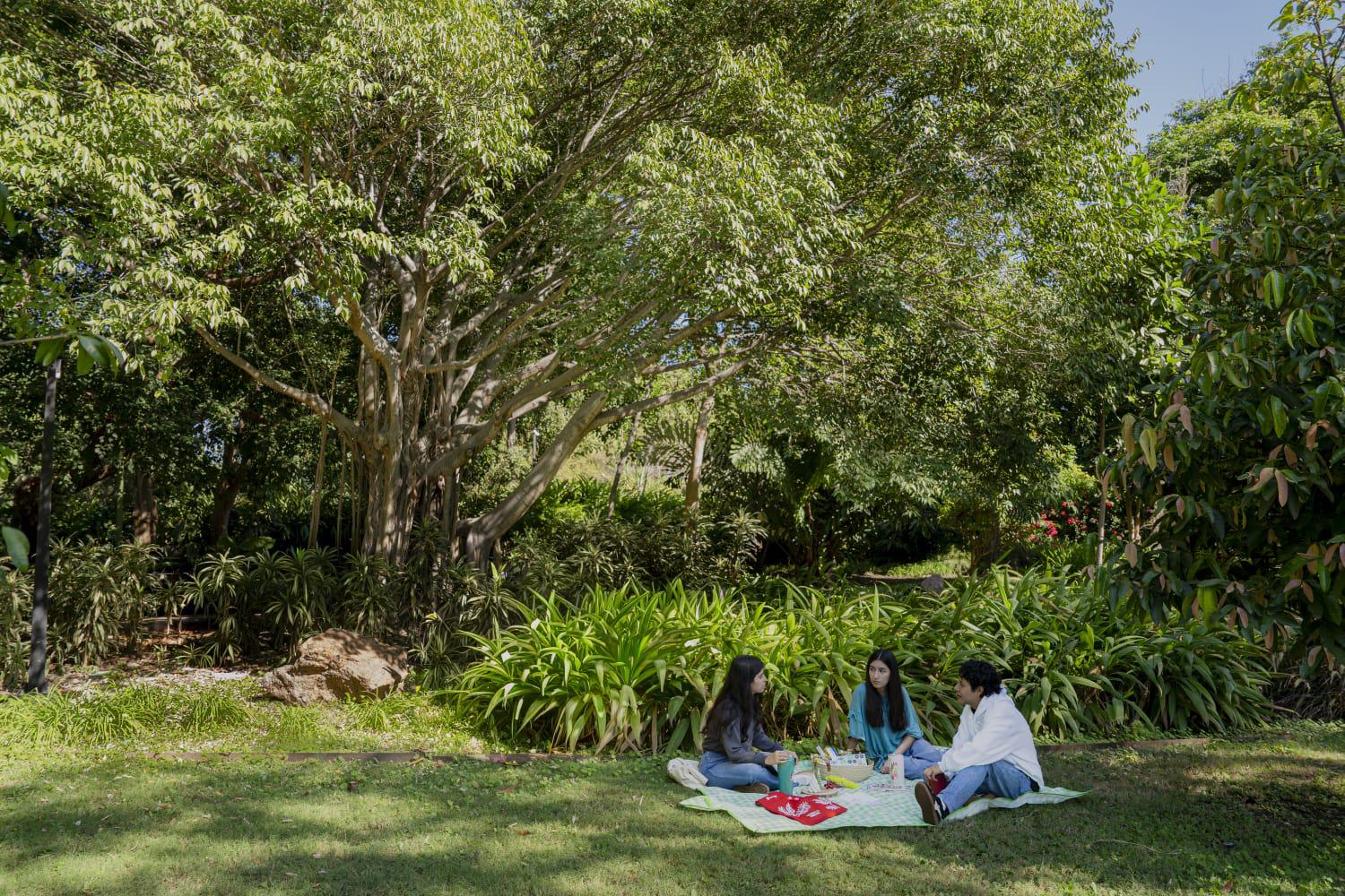 $!El Jardín Botánico de Culiacán realizará Picnic de San Valentín, cine al aire libre y martes culturales