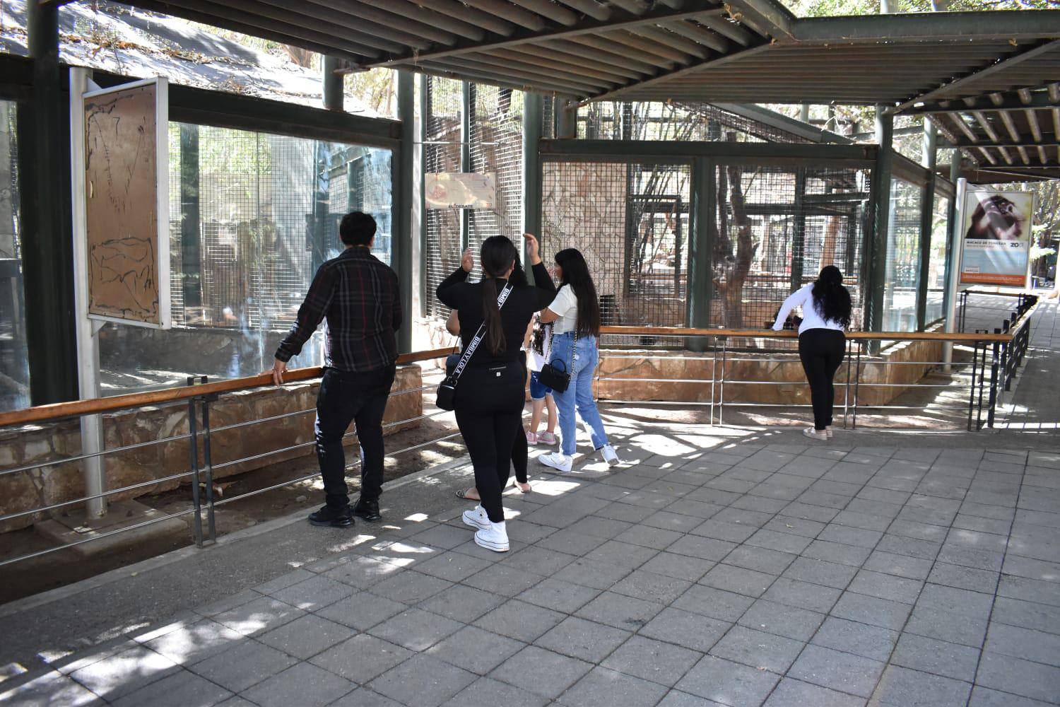 $!Ofrece Zoológico de Culiacán un ambiente familiar y ‘a todo dar’