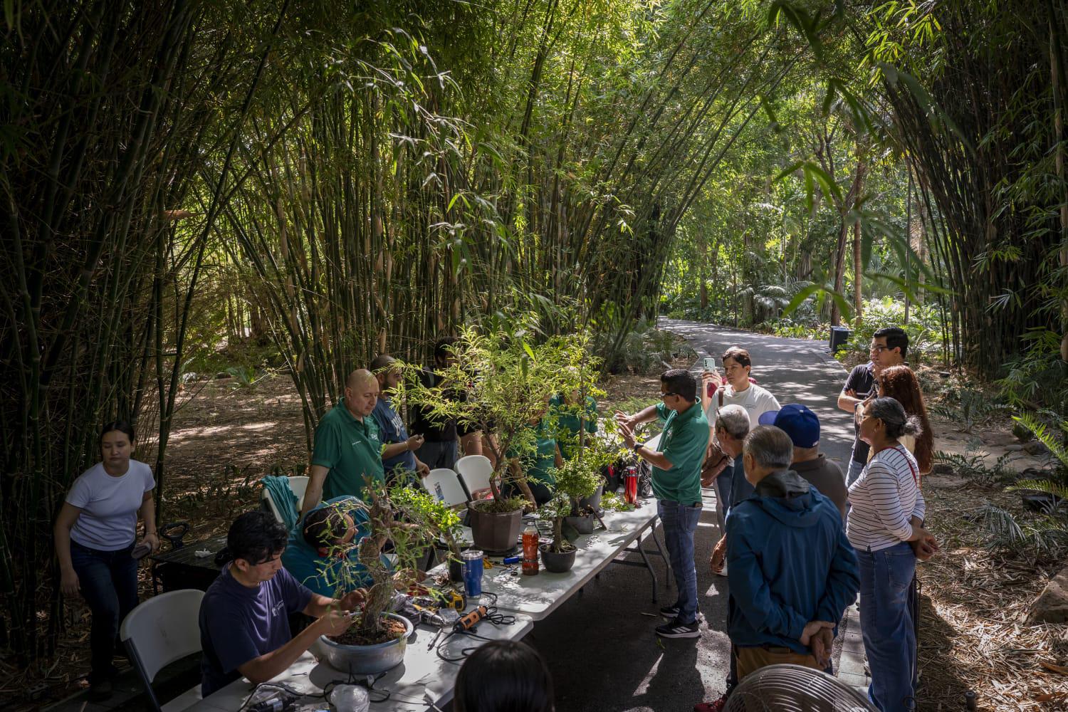 $!El Jardín Botánico de Culiacán realizará Picnic de San Valentín, cine al aire libre y martes culturales