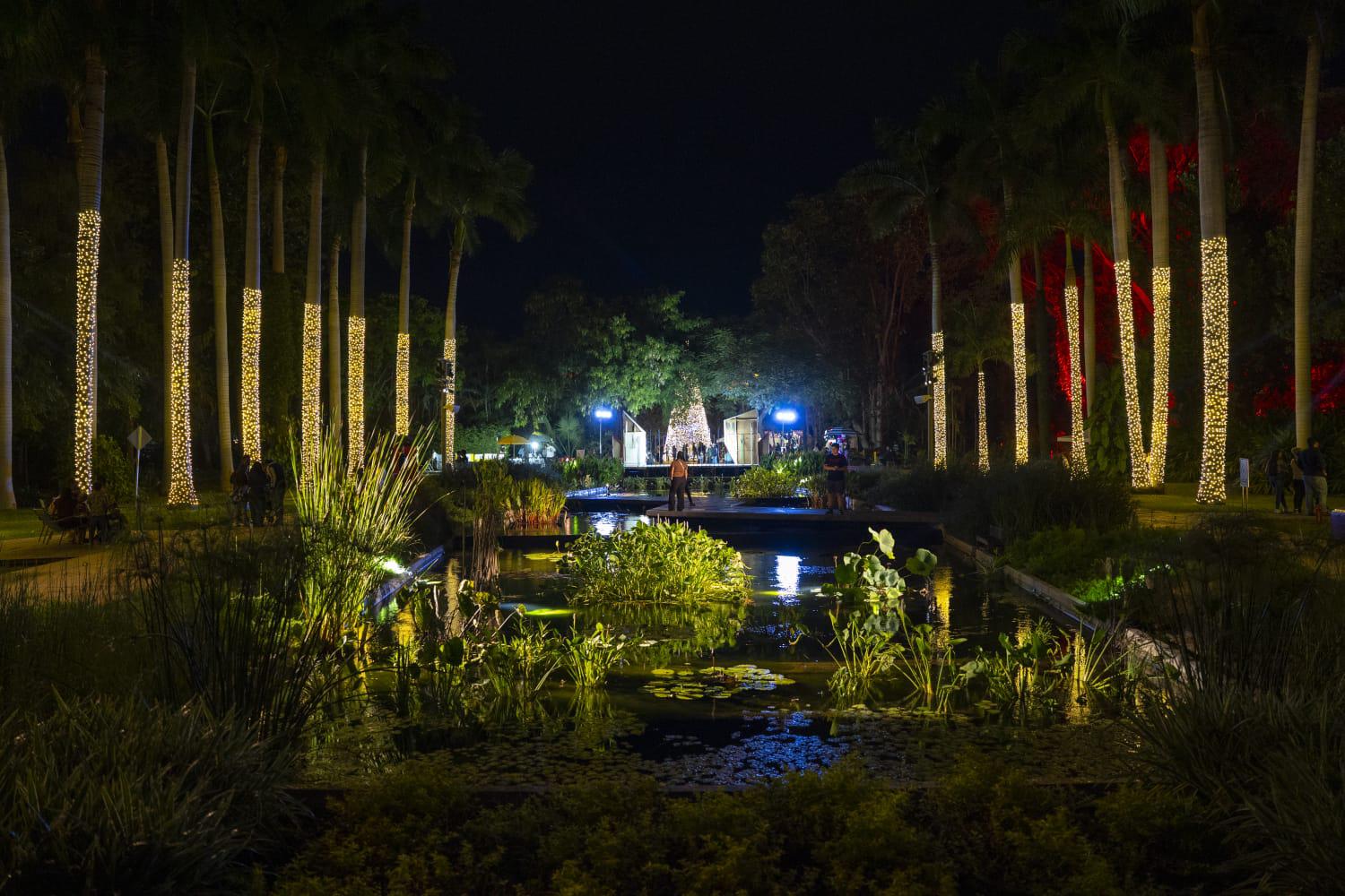 $!Cerrará el ‘Jardín de Luz’ con cartelera de gala en el Jardín Botánico