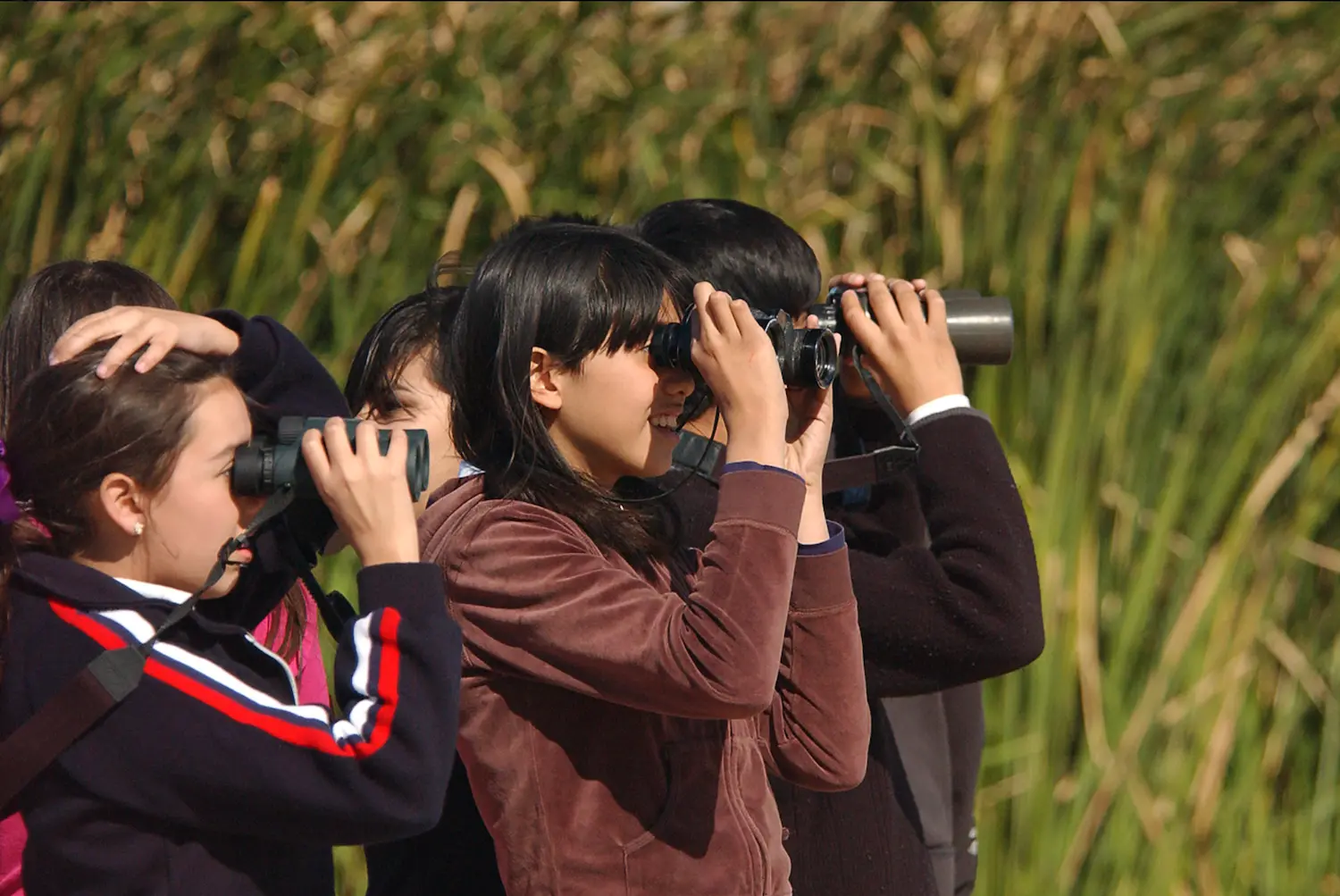 $!Observación de aves como parte del programa de educación ambiental de la Alianza Revive el Río Colorado.