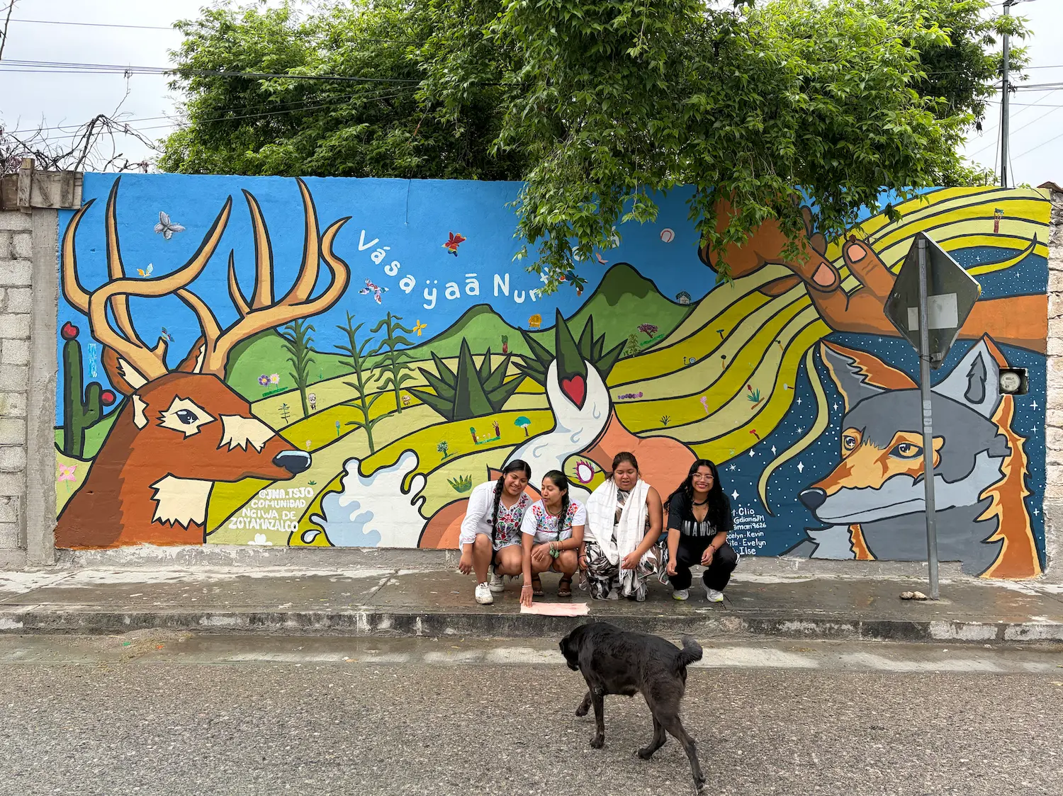 $!Integrantes del colectivo Jna Tsjo, frente al mural comunitario realizado con las infancias y juventudes de la comunidad de San Mateo Zoyamazalco, con la leyenda “gracias a nuestra tierra” en lengua ngiwa.