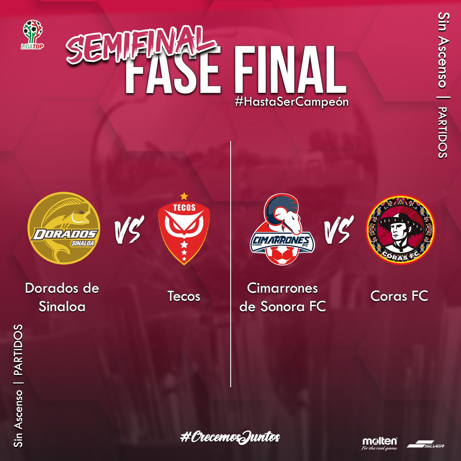 $!Dorados de Sinaloa se medirá a Tecos por un boleto a la final de la TDP