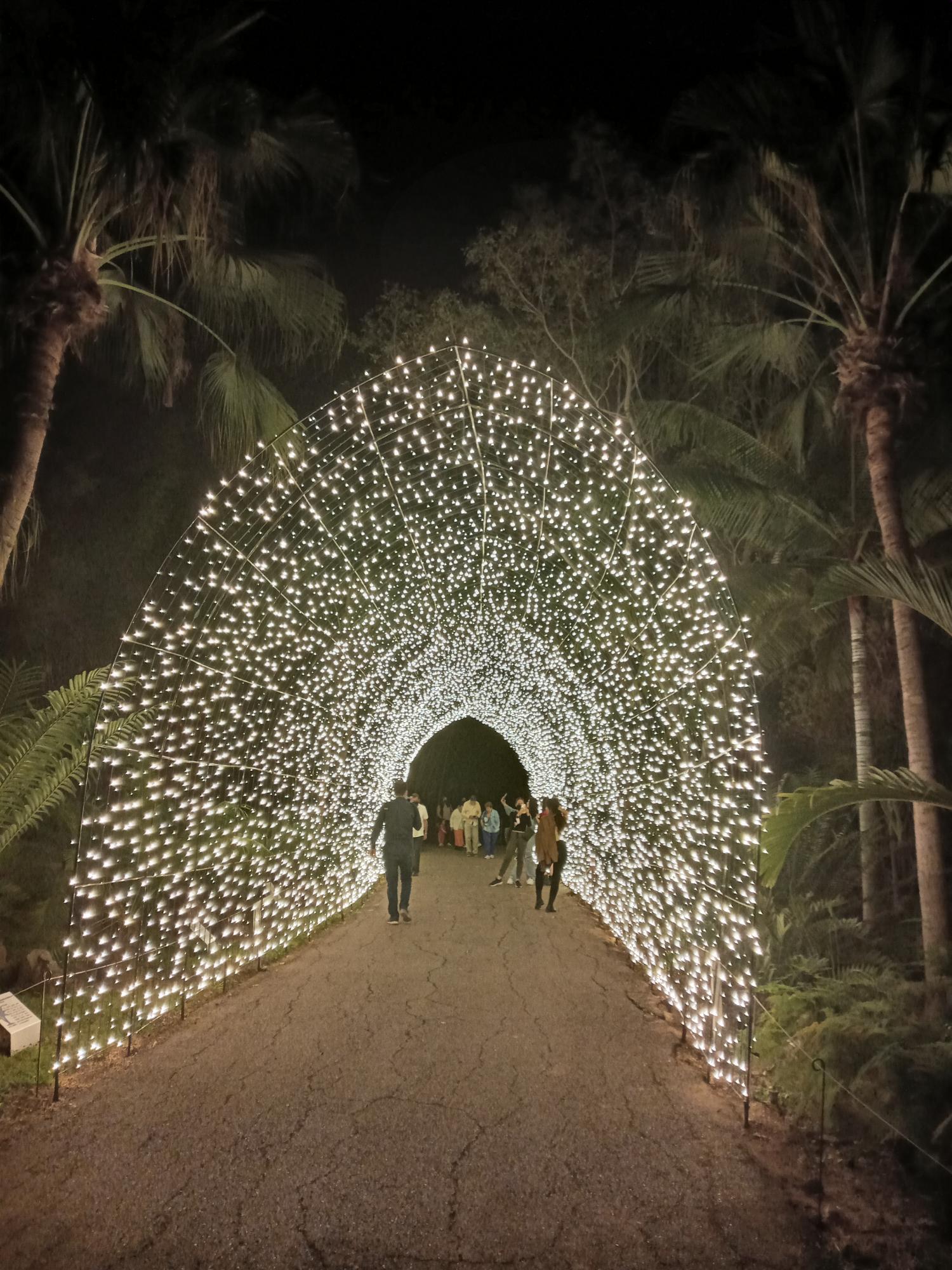 $!Se ilumina de Navidad el Jardín Botánico de Culiacán por sus 35 años