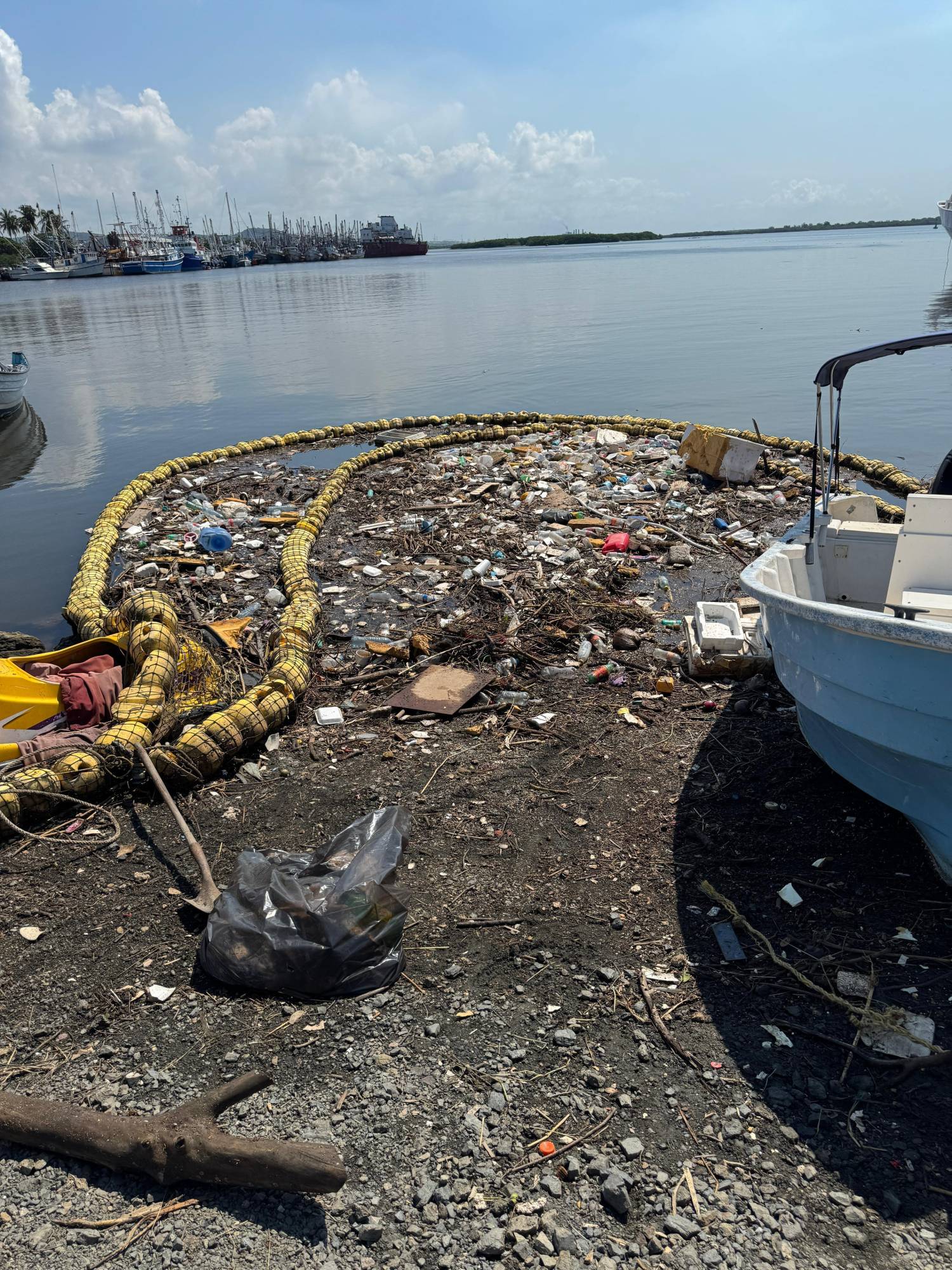 $!MazConCiencia advierte de cocodrilos merodeando por las biobardas del puente Juárez
