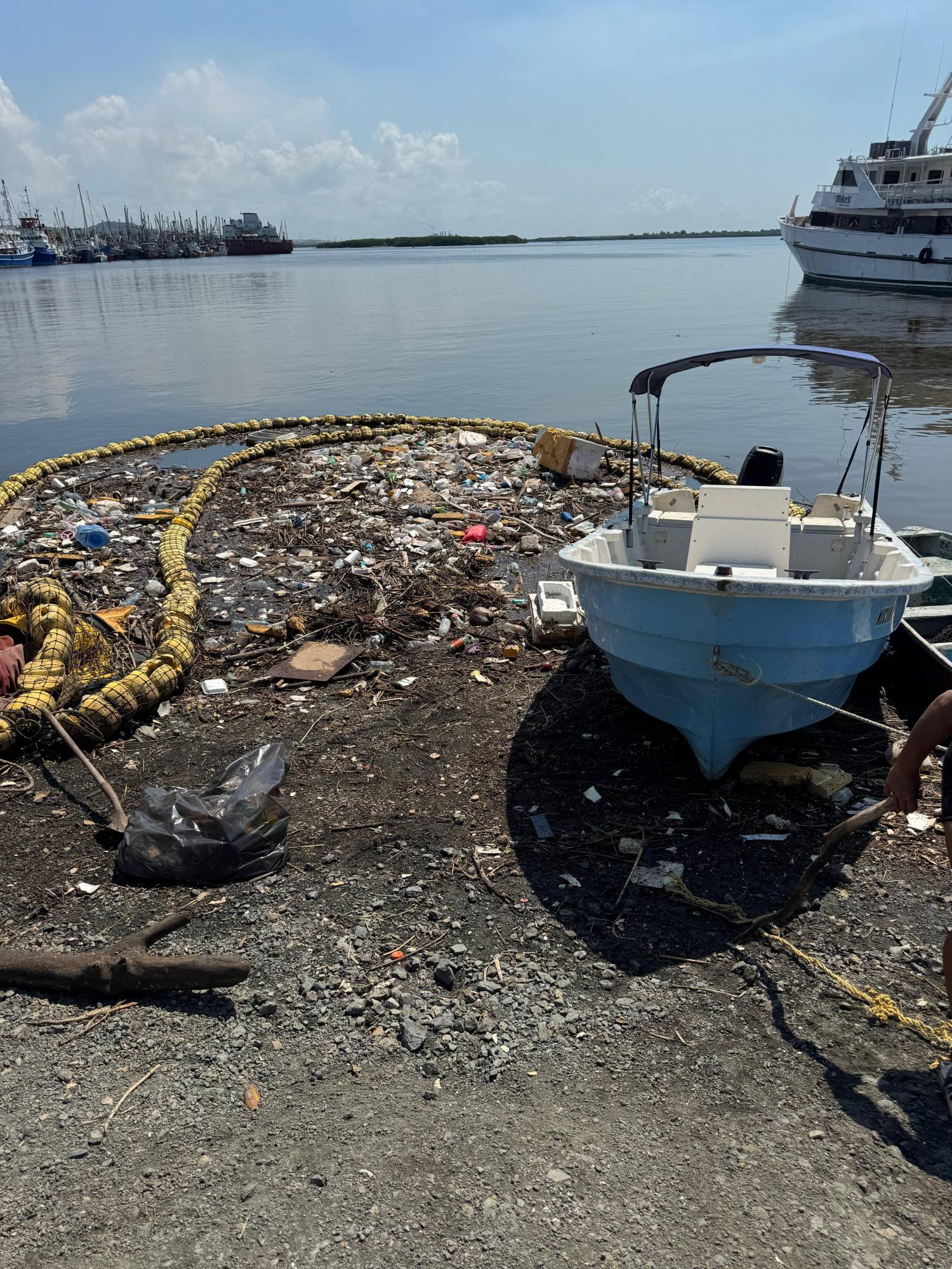 $!MazConCiencia advierte de cocodrilos merodeando por las biobardas del puente Juárez