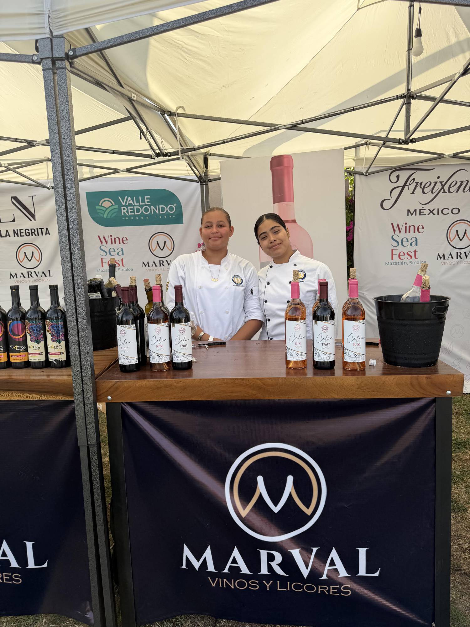 $!Todo un éxito la segunda edición del Wine Sea Fest