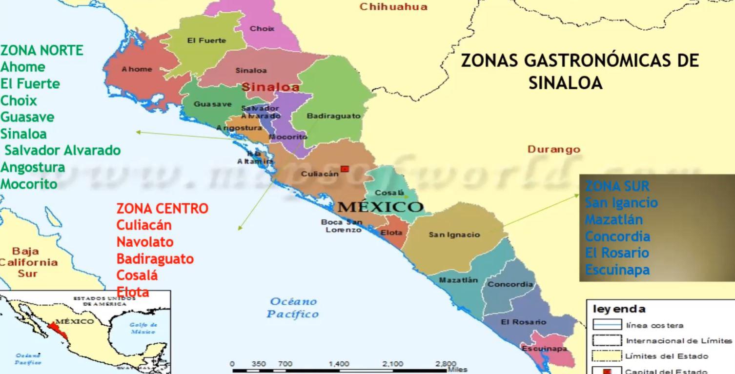 $!Costa, valle y sierra convierten a Sinaloa en una tierra tan fértil que hay alimentos poco aprovechados: Chef Delia Moraila