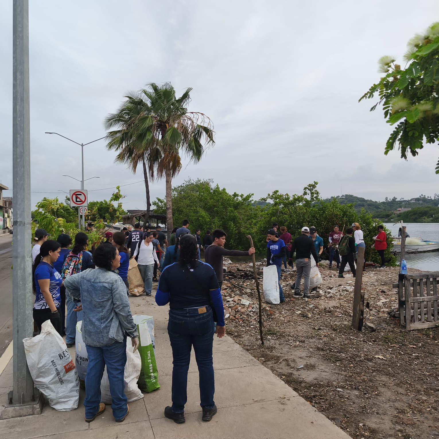 $!Impulsan participación juvenil en el cuidado de los manglares