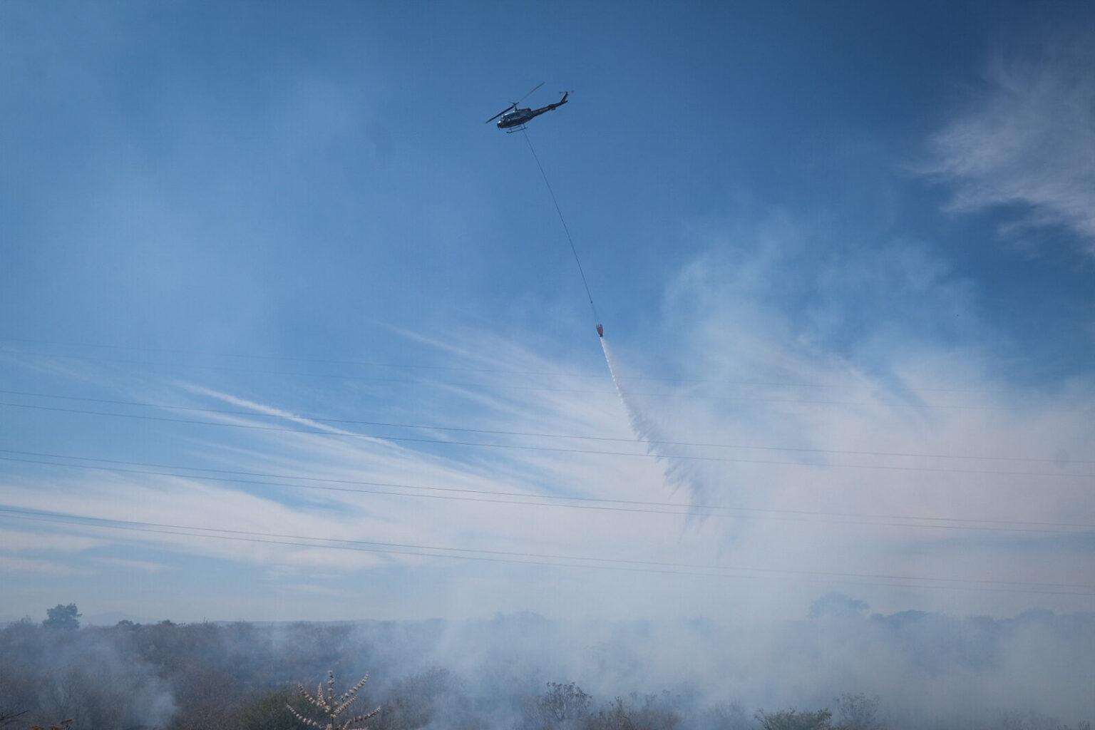 $!Jalisco perdió más de 100 mil hectáreas de bosques a causa de los incendios