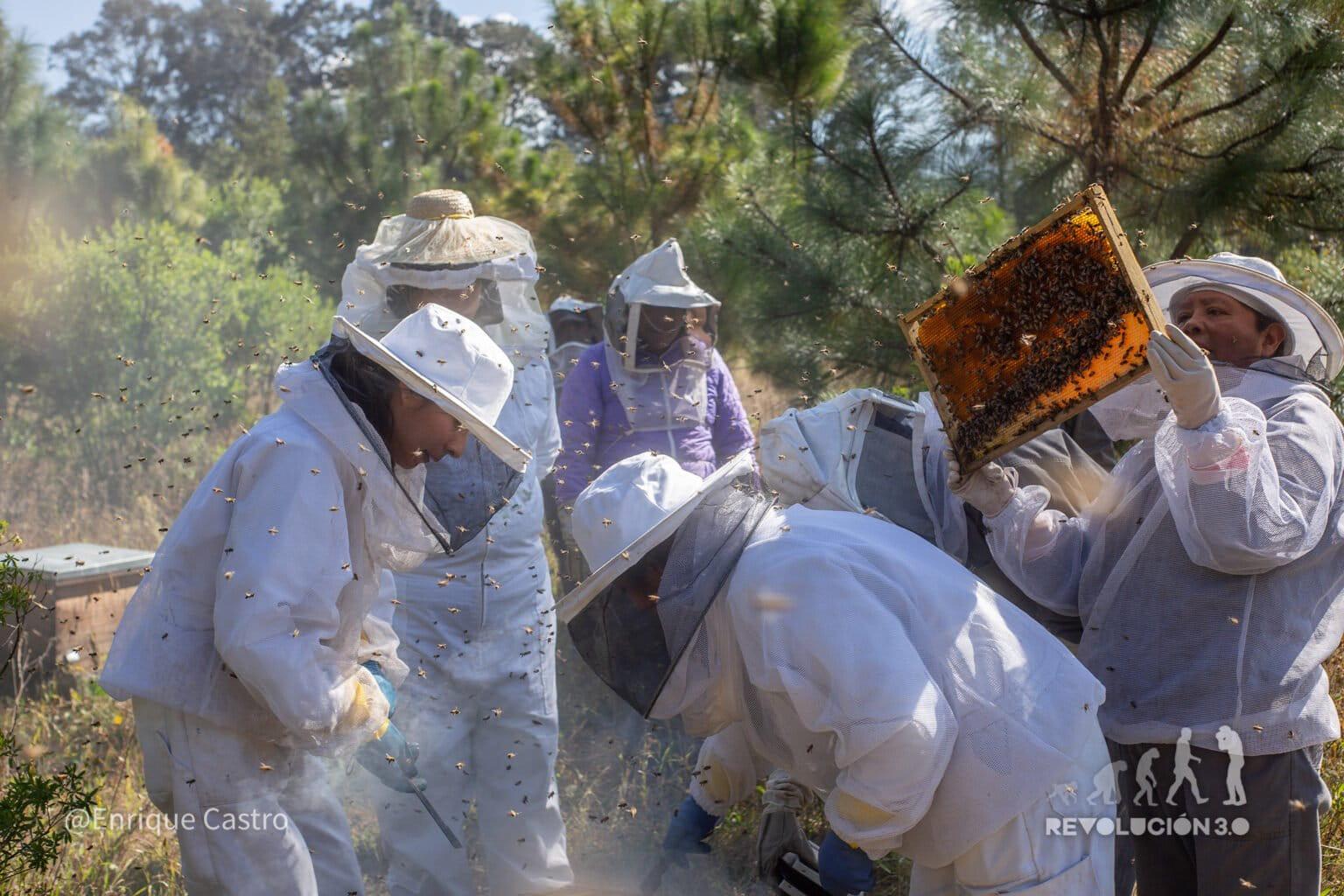 $!Día Internacional de las Mujeres Indígenas: tres lideresas que cambian el rumbo de sus comunidades en Latinoamérica