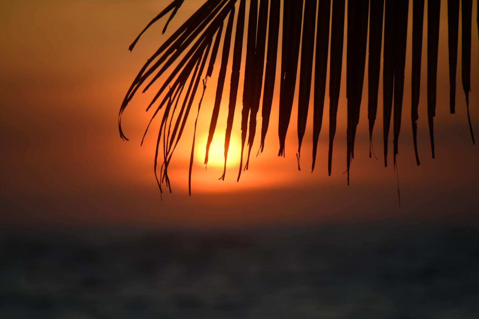 $!Amanecer en Zapotitlán.