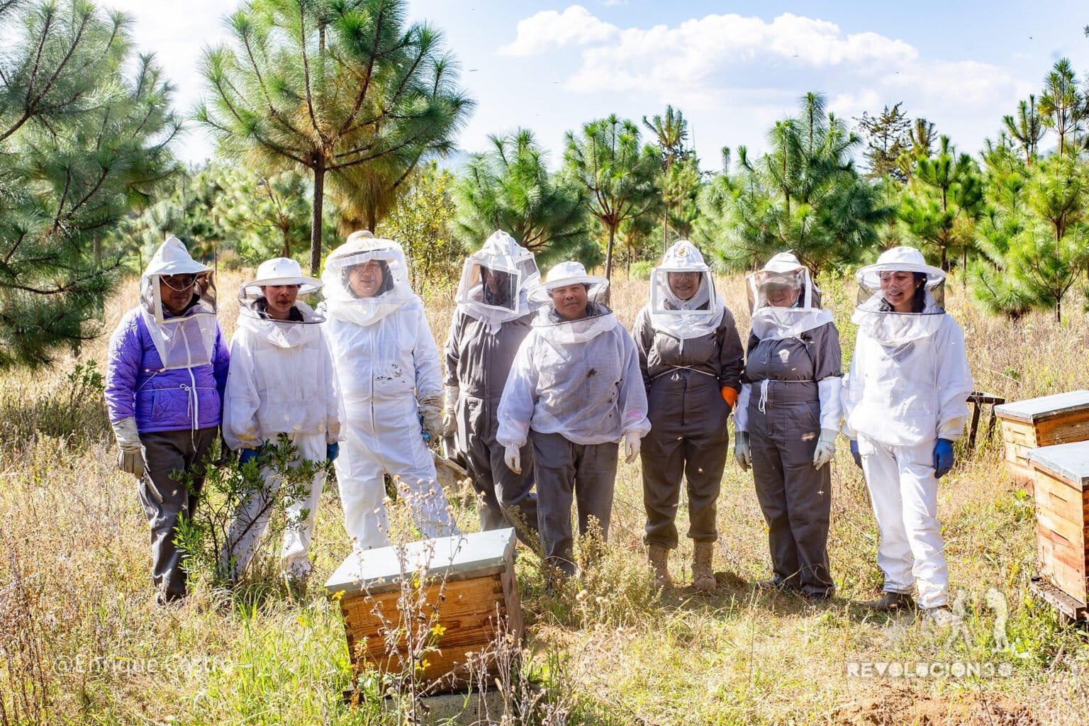 $!Día Internacional de las Mujeres Indígenas: tres lideresas que cambian el rumbo de sus comunidades en Latinoamérica