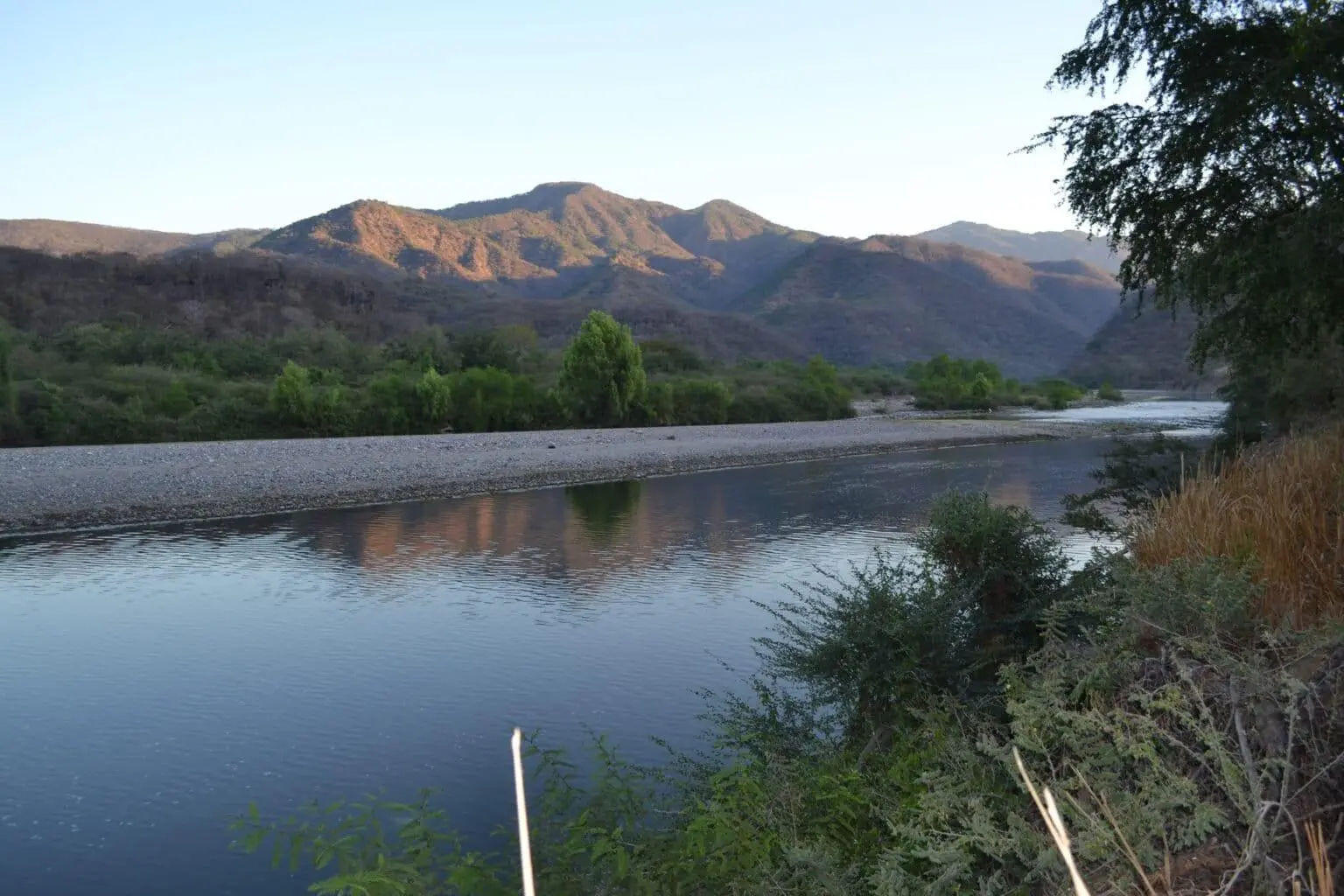 $!La declaración de Reserva de la Biosfera Sierra de Vallejo-Río Ameca busca proteger los bosques y selvas en Nayarit y Jalisco, uno de los hábitats del jaguar en México.