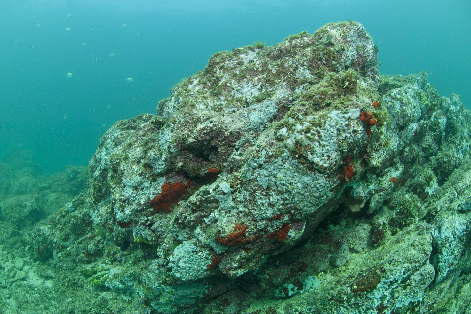 $!¿Cómo afectará el cambio climático a las pesquerías del mundo?