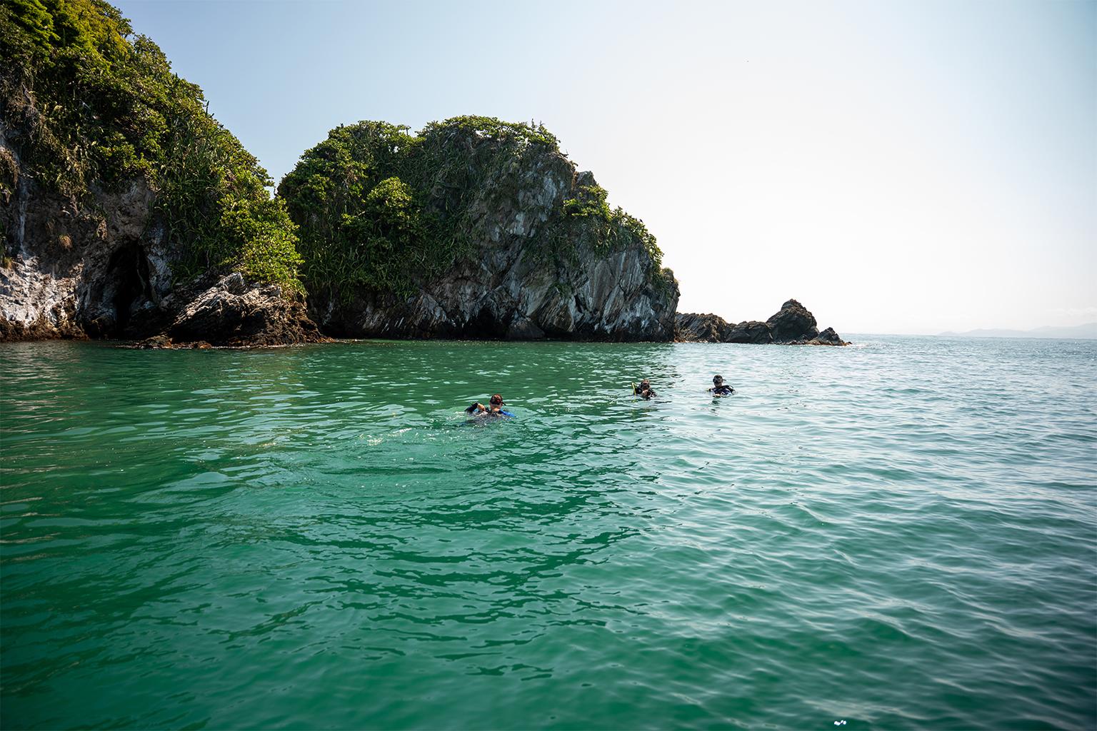 $!¿Puede un arrecife sobrevivir al calor extremo? La increíble resistencia del ‘Cocalito’ hondureño
