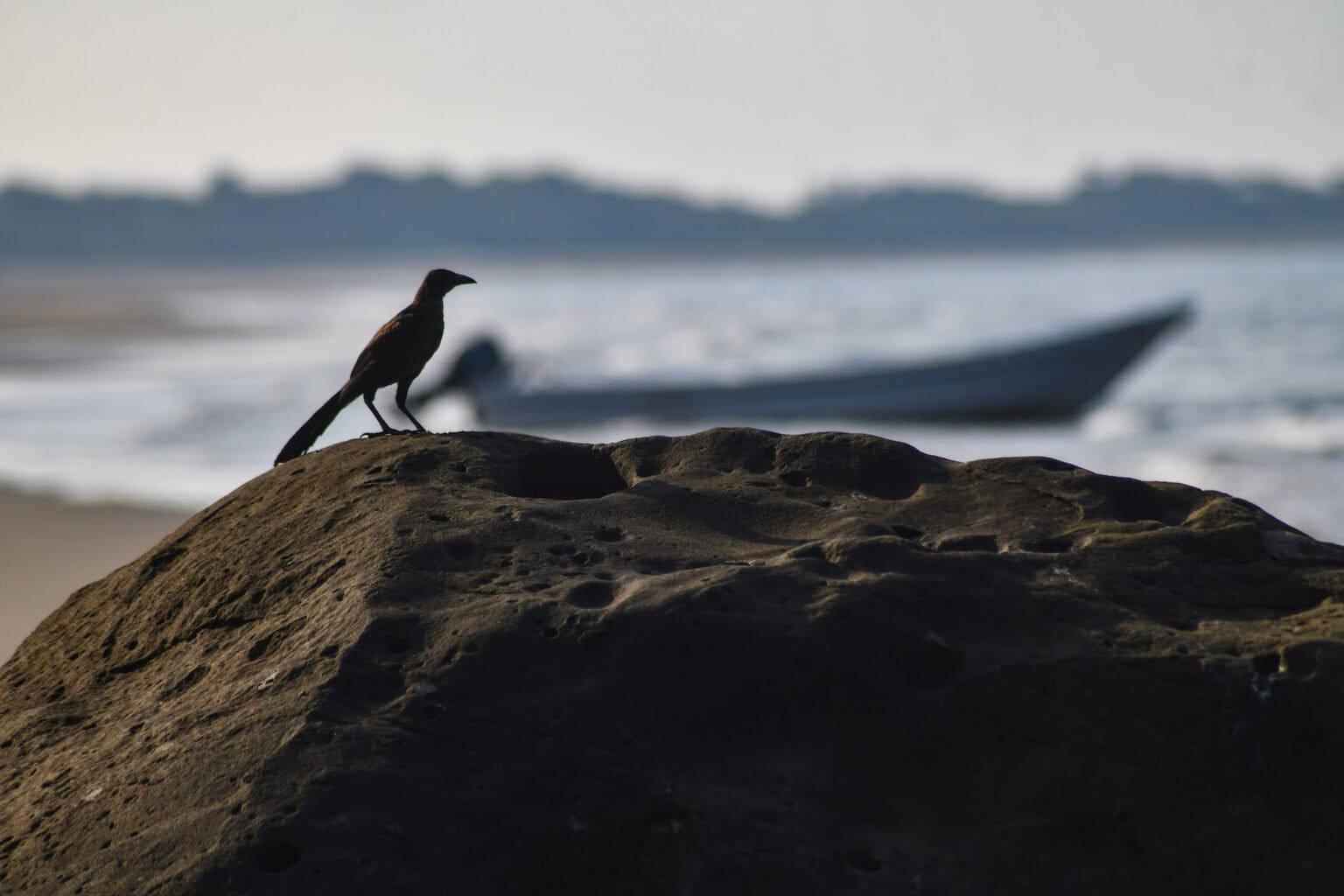 $!La playa de Zapotitlán.
