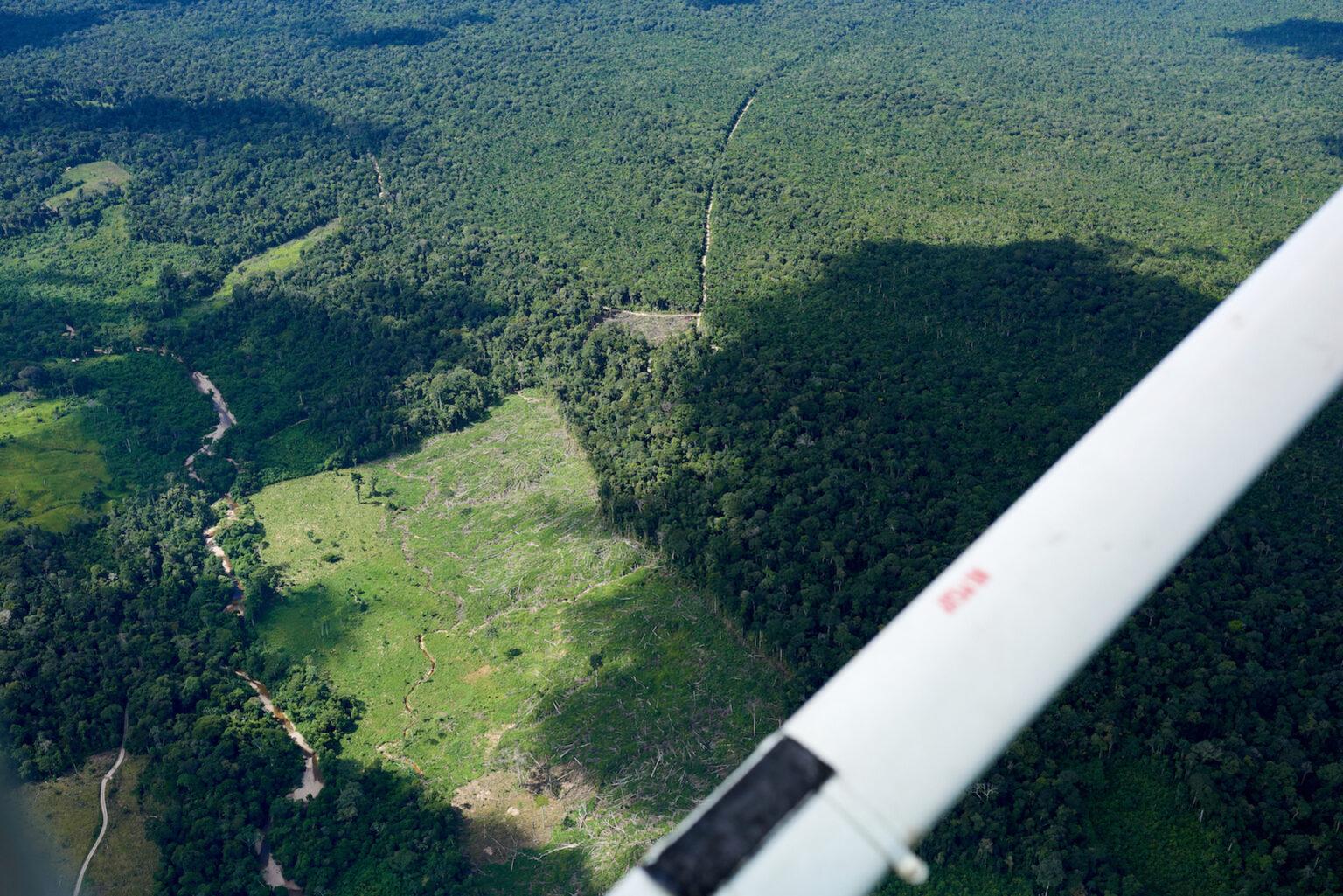 $!Zonas deforestadas y caminos ilegales dentro de la Reserva Indígena Kakataibo.