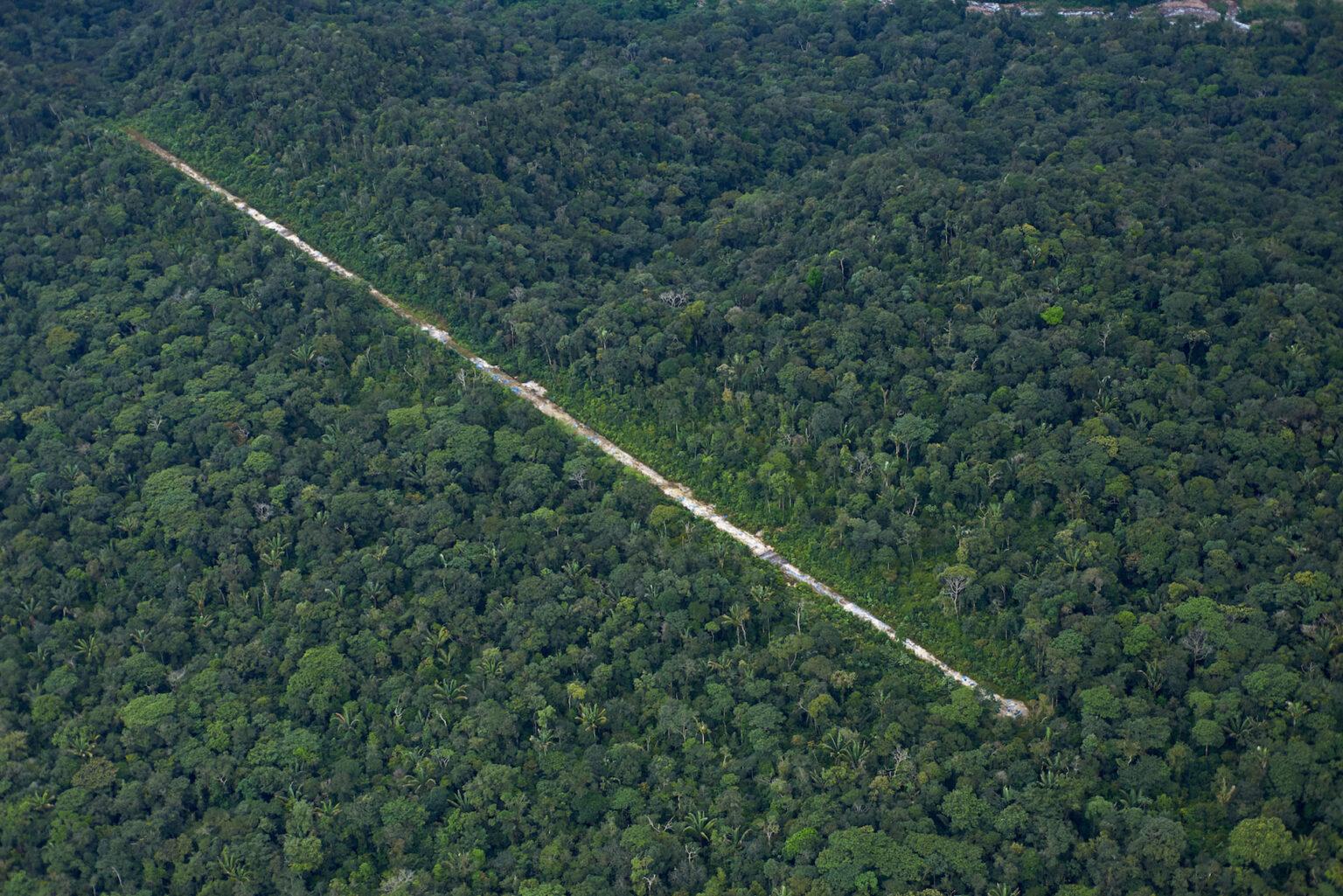 $!Durante el sobrevuelo se identificaron tres pistas de aterrizaje clandestinas en en territorio kakataibo.