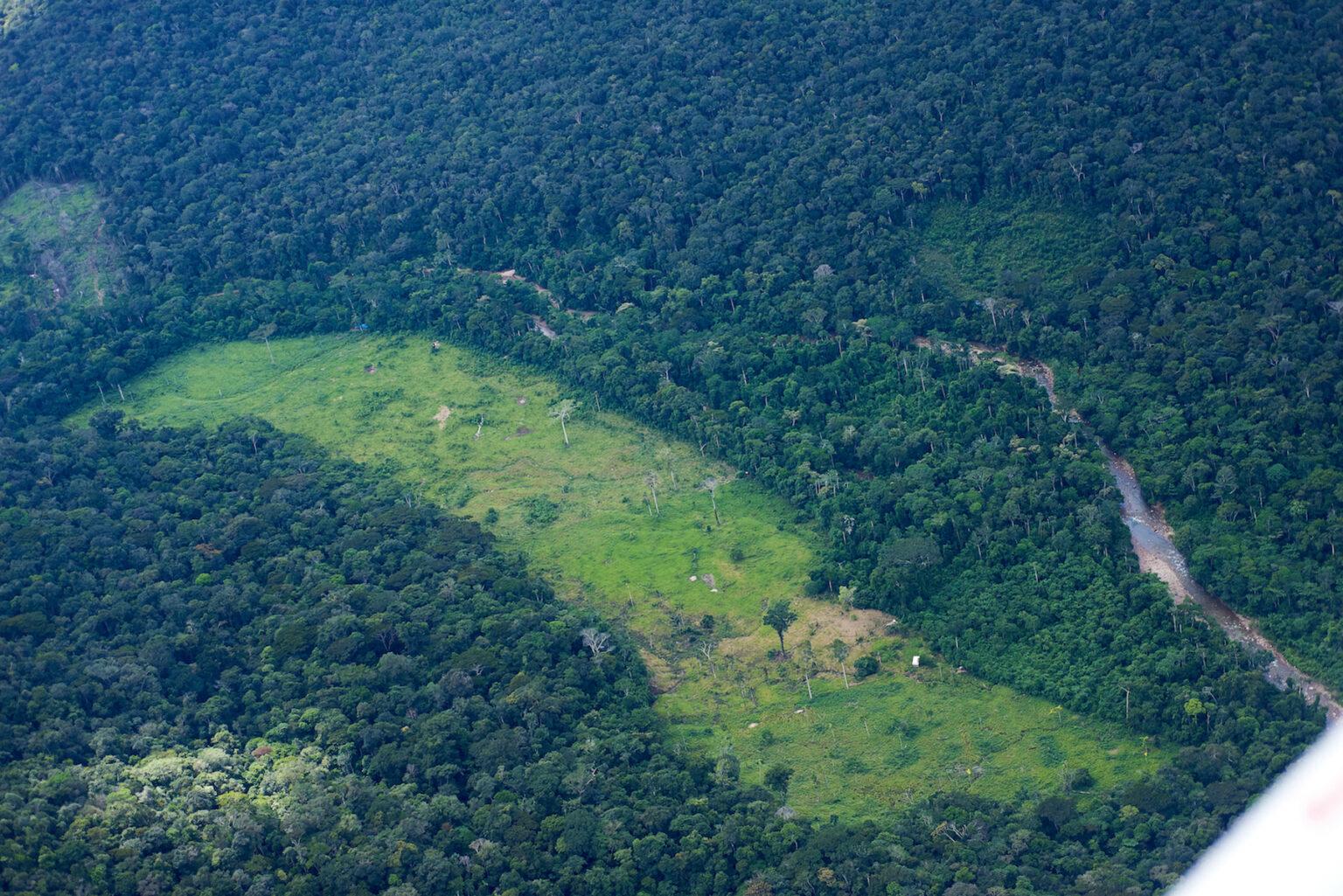 $!Un sector deforestado en el sector sur de la Reserva Indígena Kakataibo.