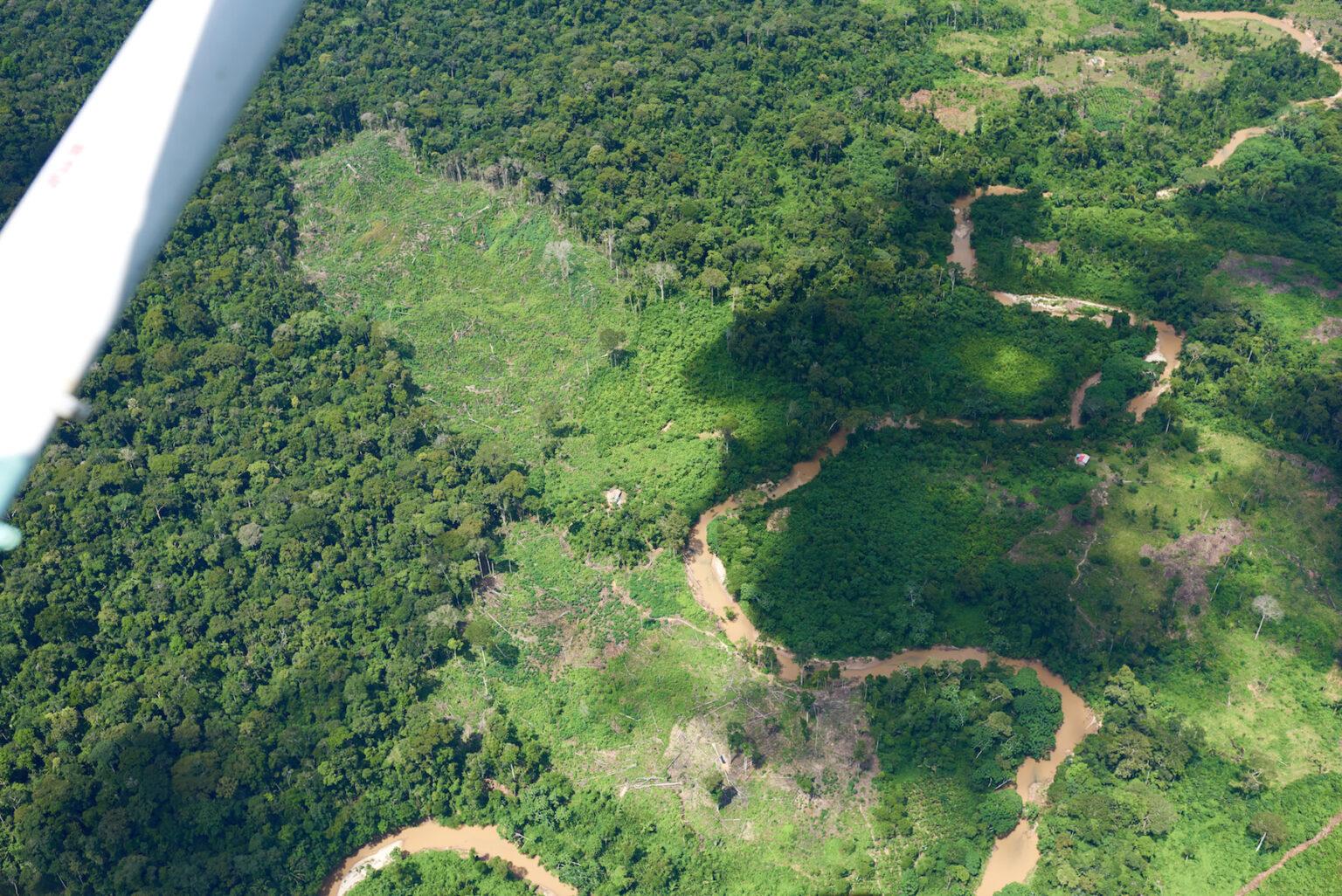 $!Zonas deforestadas y con cultivos ilícitos se encuentran cerca de los ríos.