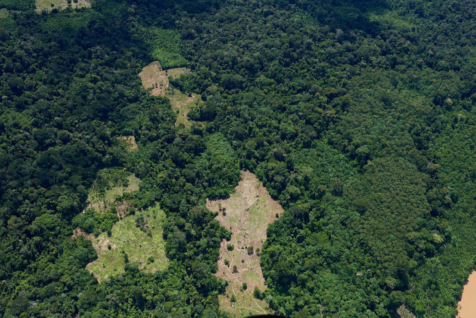 $!Parches de deforestación se observan desde el aire dentro de la Reserva Indígena Kakataibo.