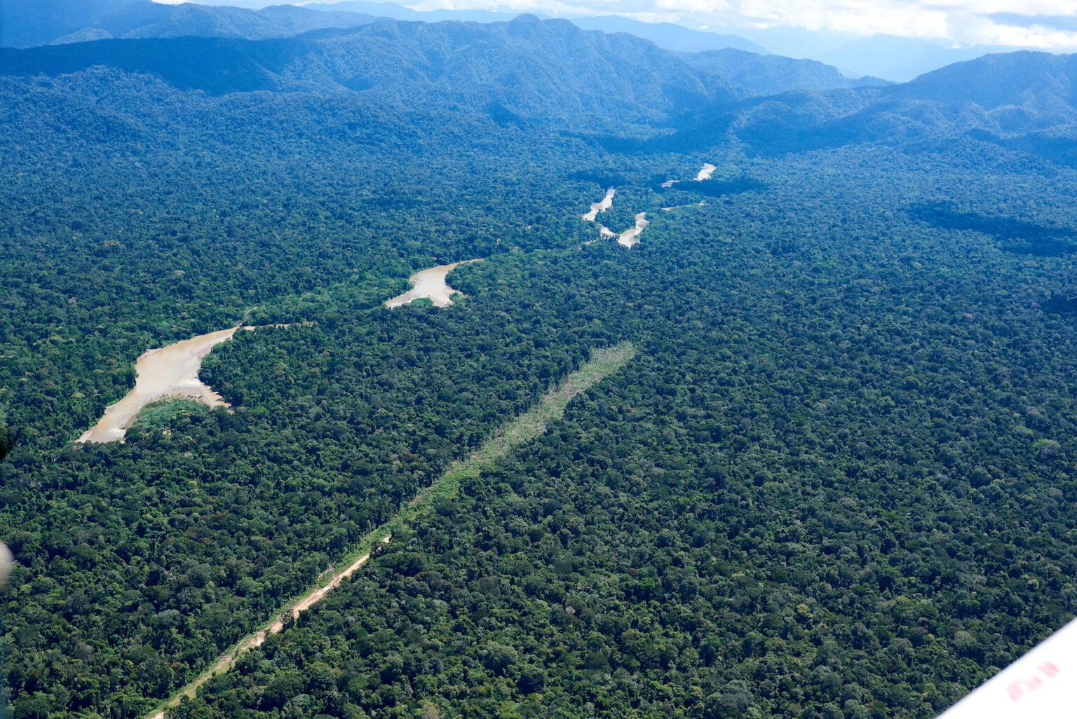 $!Una pista clandestina corta en dos la espesura de la selva en la Reserva Indígena Kakataibo.