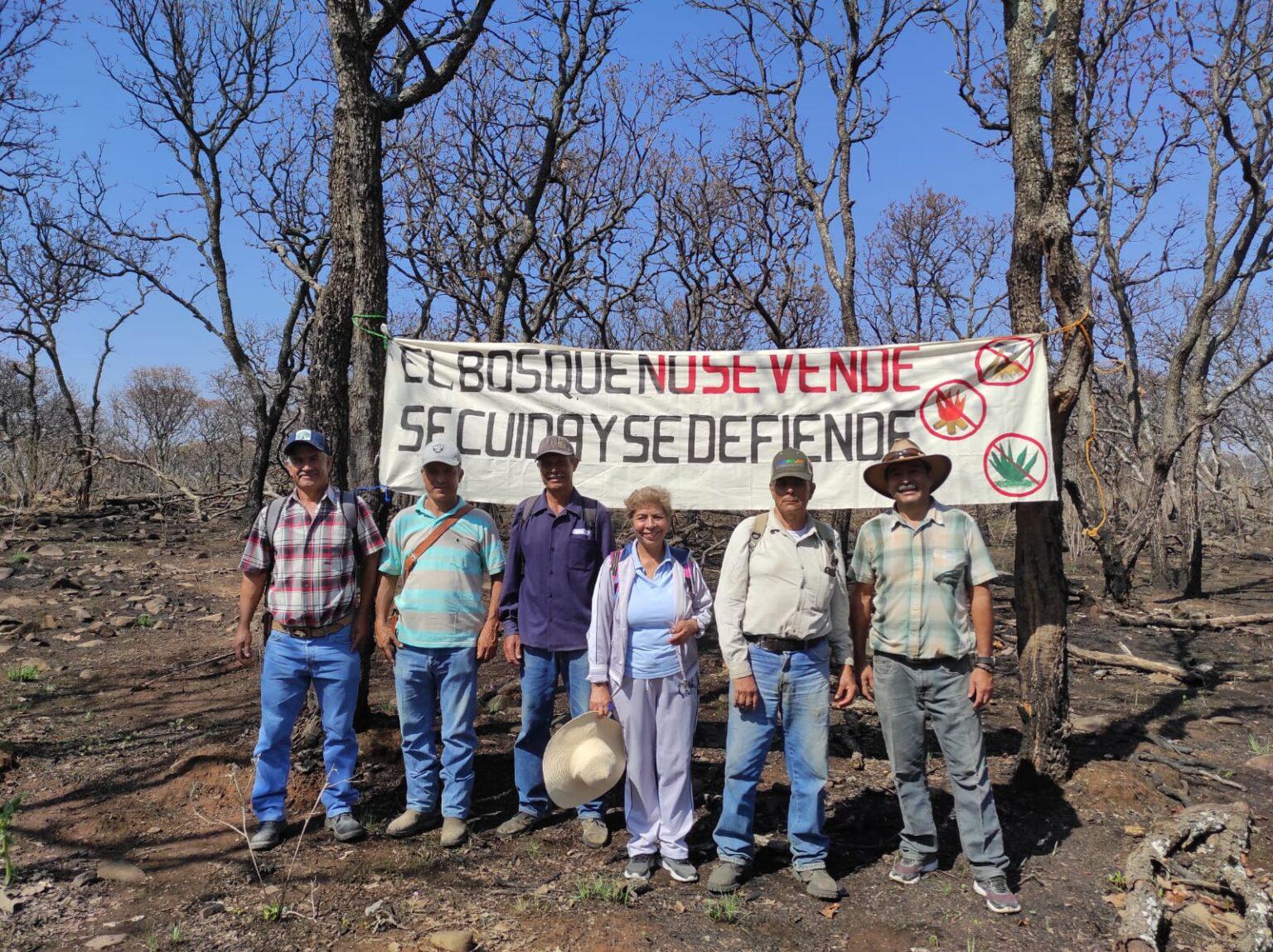 $!México: como un roble, así es la convicción de los guardianes del bosque de Juanacatlán