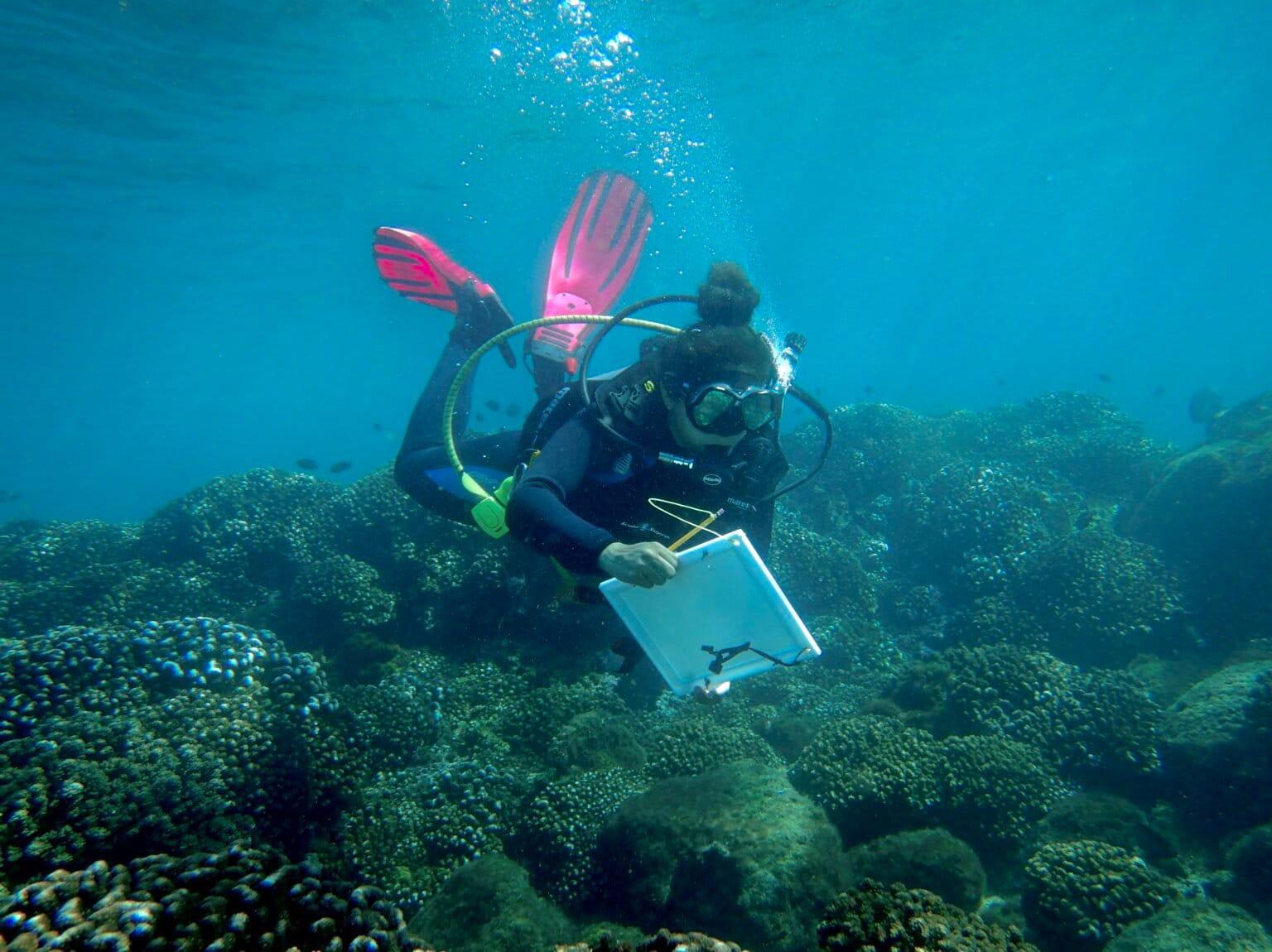 $!Gabriela García Vázquez, coordinadora de conservación de COSTASALVAJE, realizando monitoreo del arrecife coralino del Parque Nacional Huatulco.