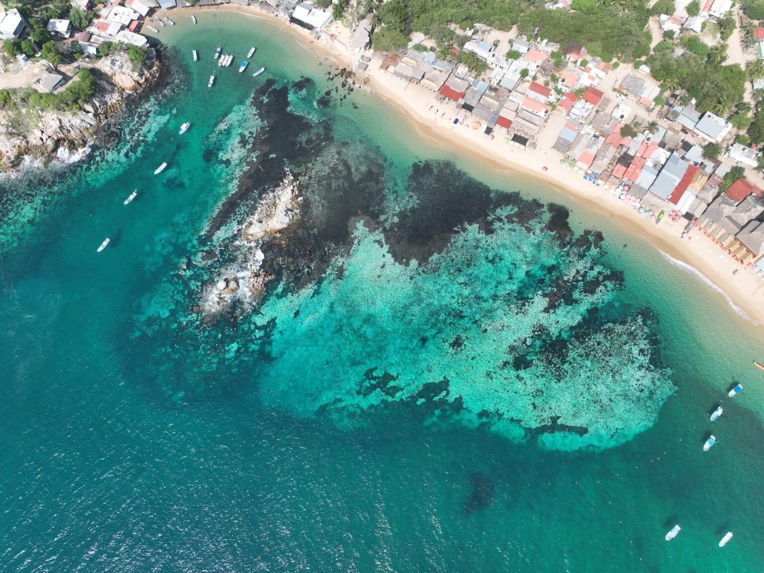 $!Placa coralina blanqueada frente a la comunidad de San Agustín, en el Parque Nacional Huatulco.