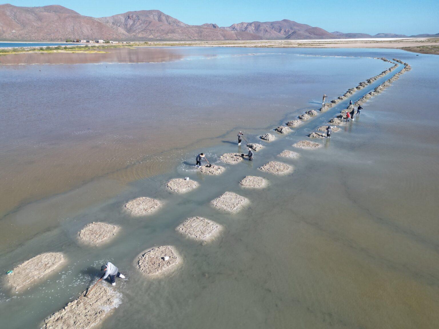 $!Mujeres y hombres trabajando en la preparación de las terrazas.