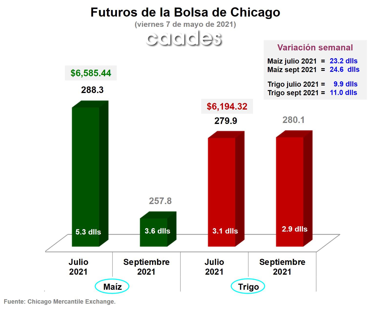 $!Nada frena al maíz: precio alcanza los $6,585 por tonelada