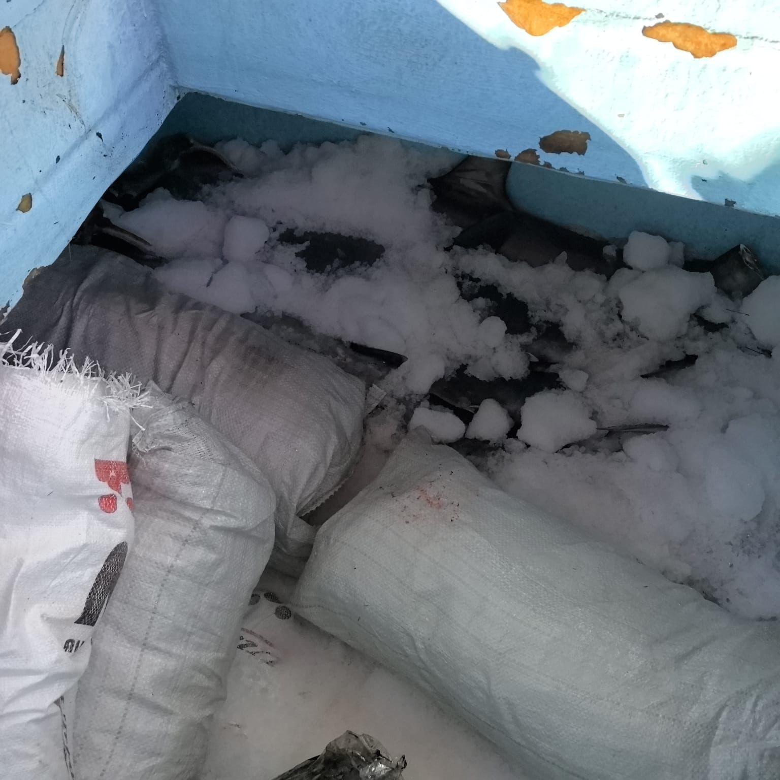 $!Retienen a embarcación con 130 kilogramos de tiburón dentro del Área Natural Protegida Islas Marías