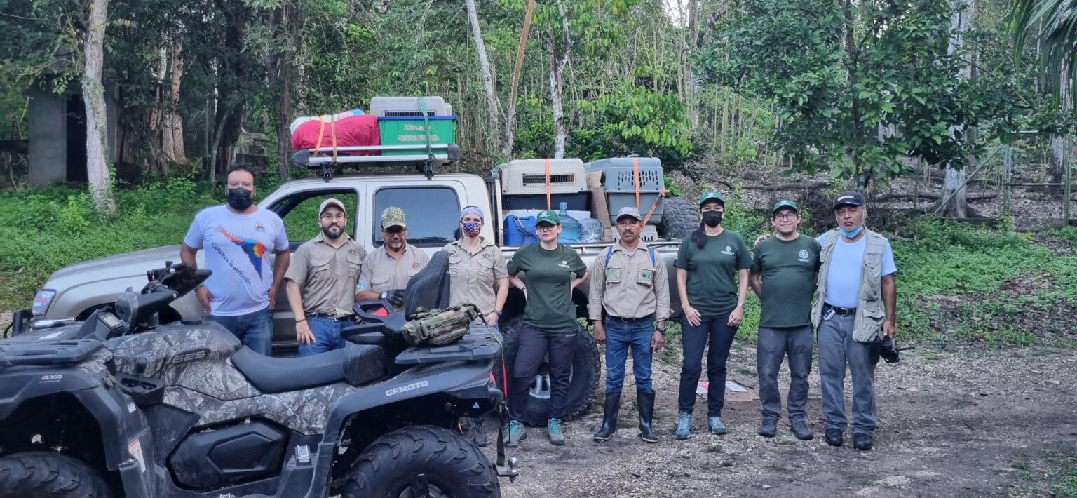 $!La ardua tarea de rescatar a los animales silvestres del tráfico ilegal en Guatemala