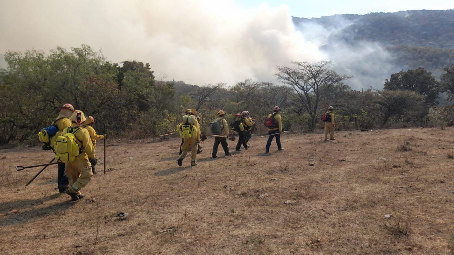$!Jalisco perdió más de 100 mil hectáreas de bosques a causa de los incendios