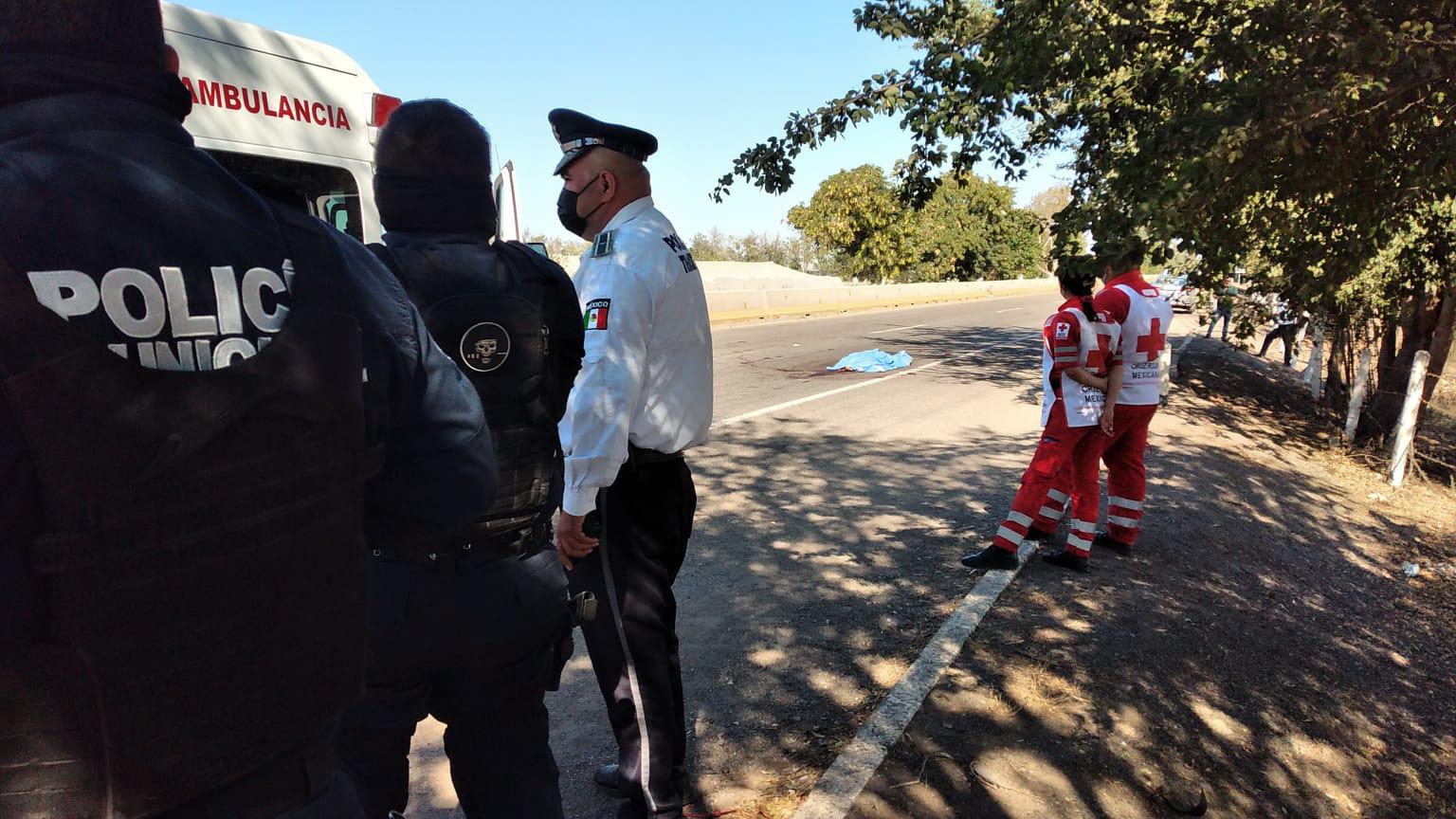 Muere un hombre arrollado en la autopista ‘La Costera’