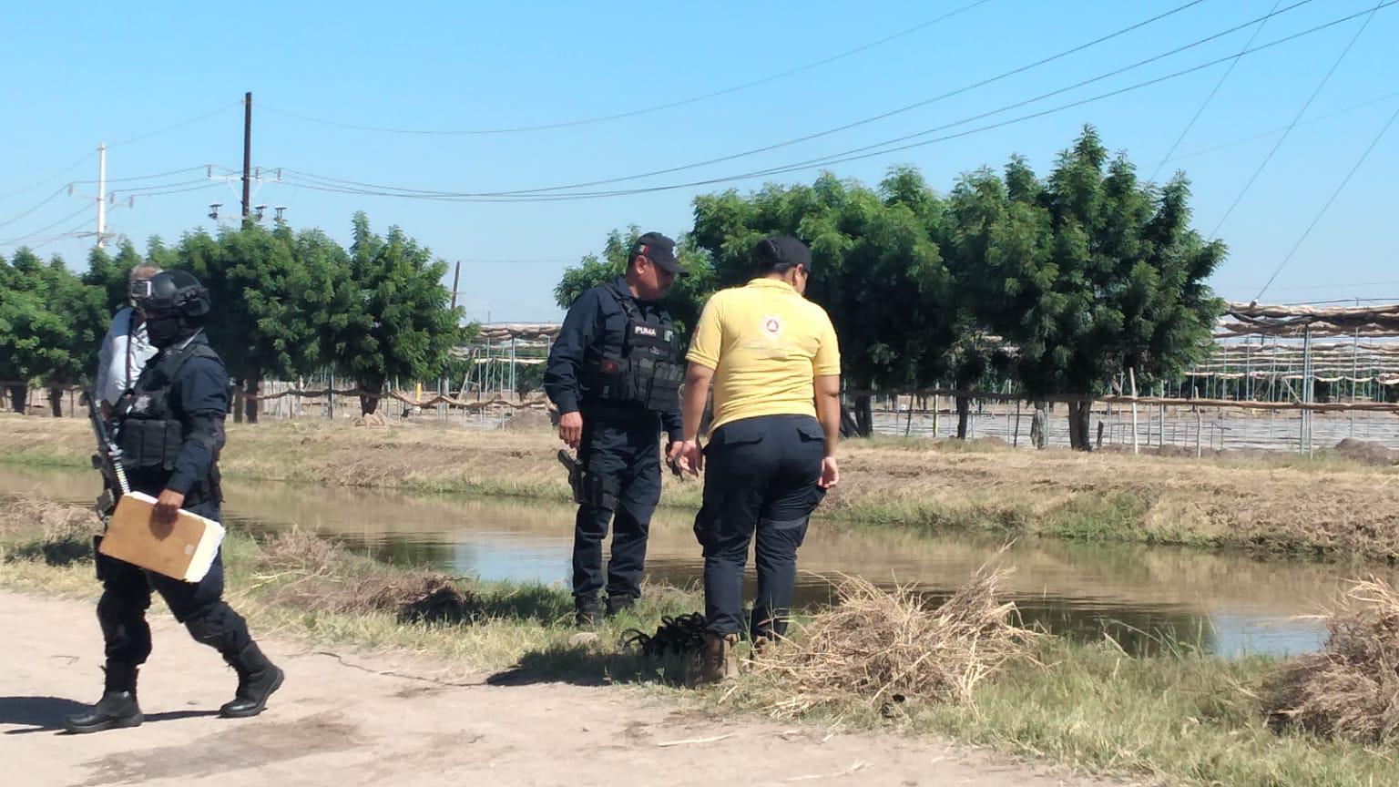 $!Pobladores de Villa Juárez capturan cocodrilo de 4 metros