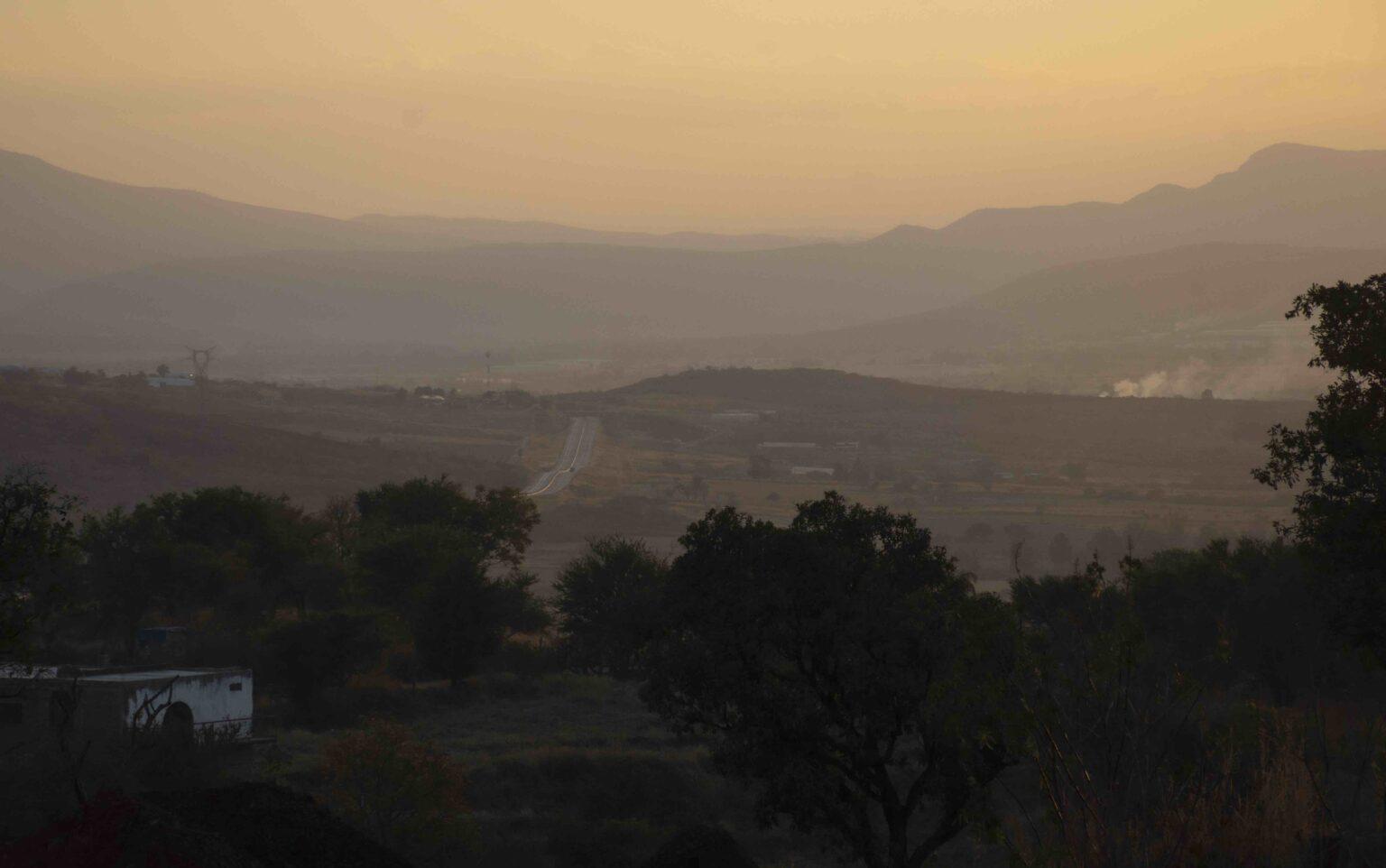 $!México: como un roble, así es la convicción de los guardianes del bosque de Juanacatlán