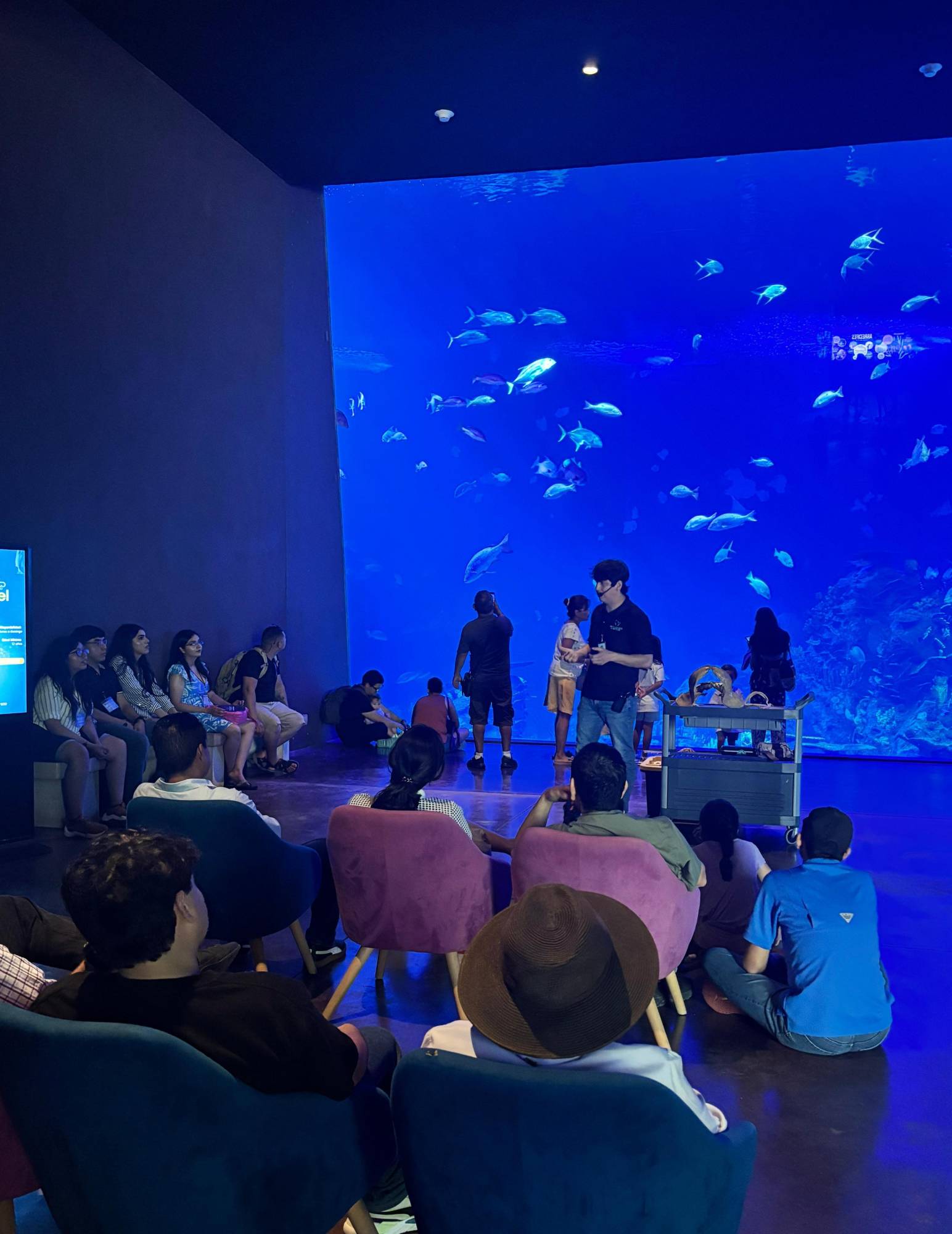 $!Gran Acuario Mar de Cortés sensibiliza sobre la relevancia ecológica de los tiburones