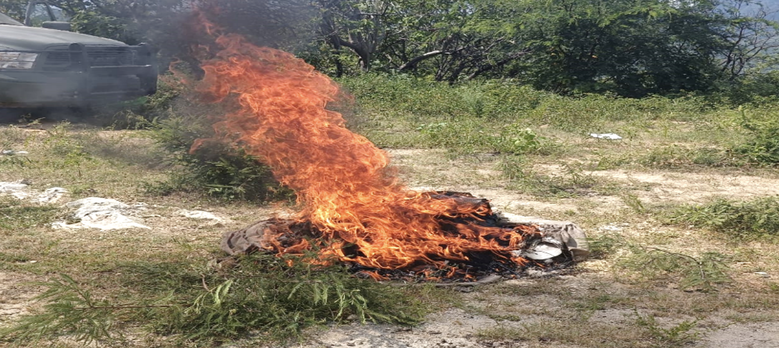 $!Ejército asegura droga, armas y campamentos irregulares en operativos en Sinaloa