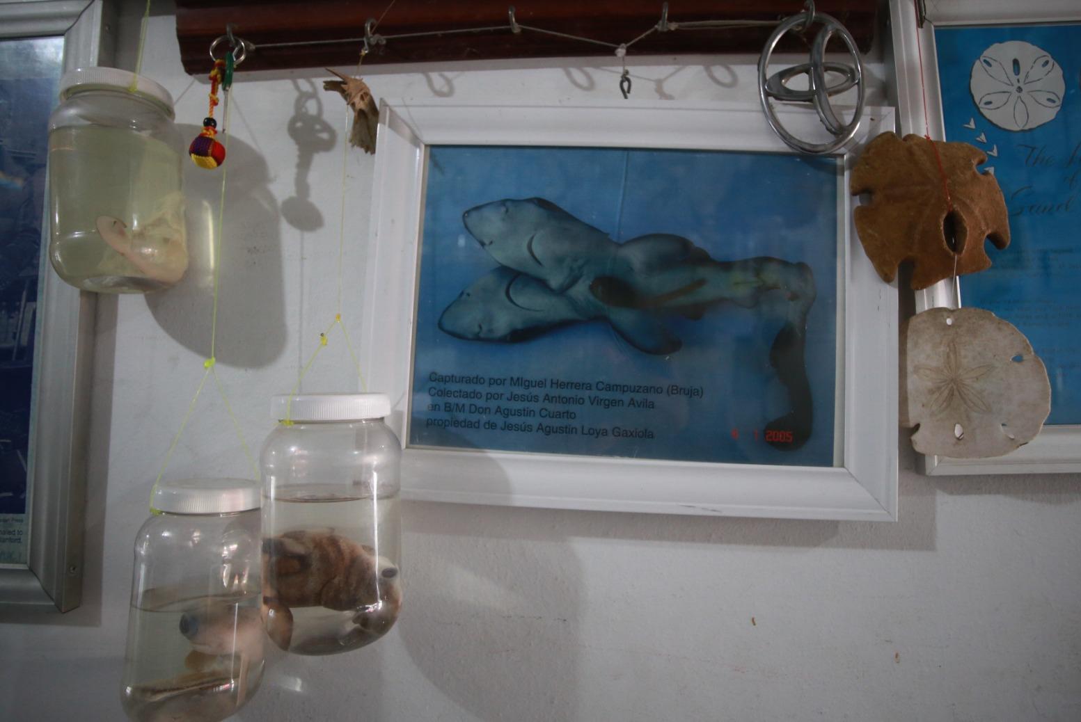$!Tiene Mazatlán una Casa Museo Homenaje al Pescador