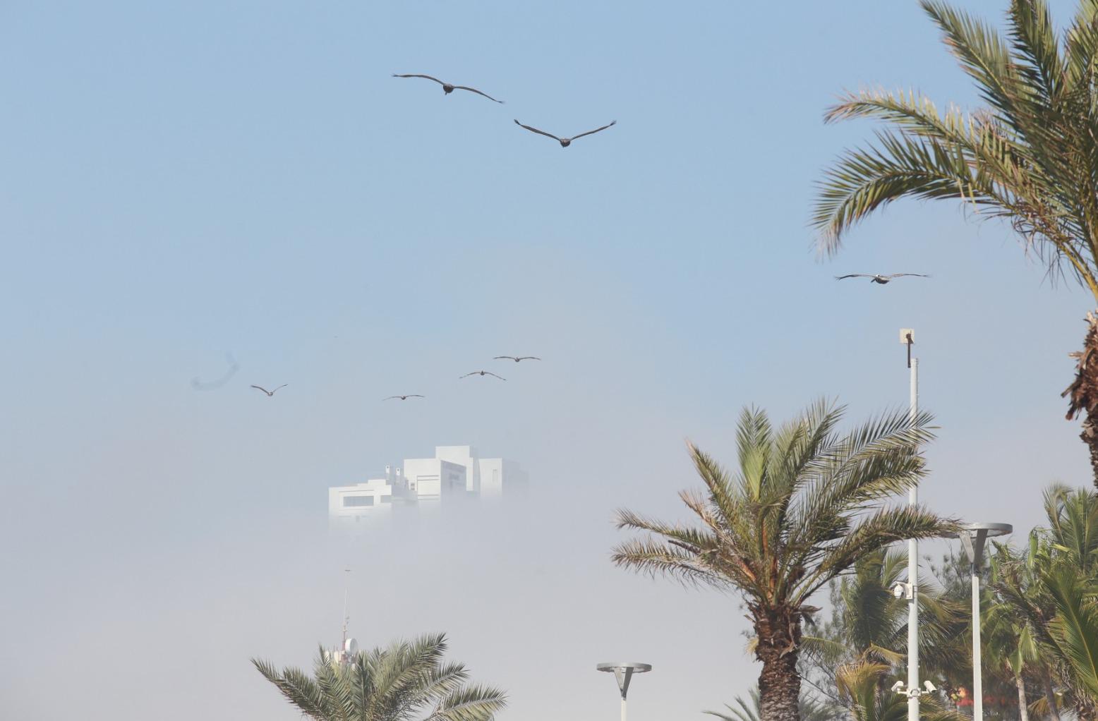 $!Cubre neblina gran parte de Mazatlán este lunes