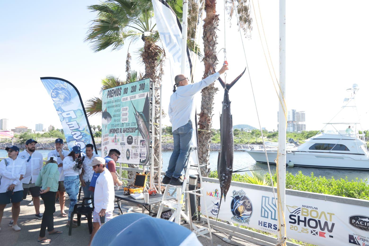 $!Nutrida participación de embarcaciones en Pacífic Marlin Cup 2025